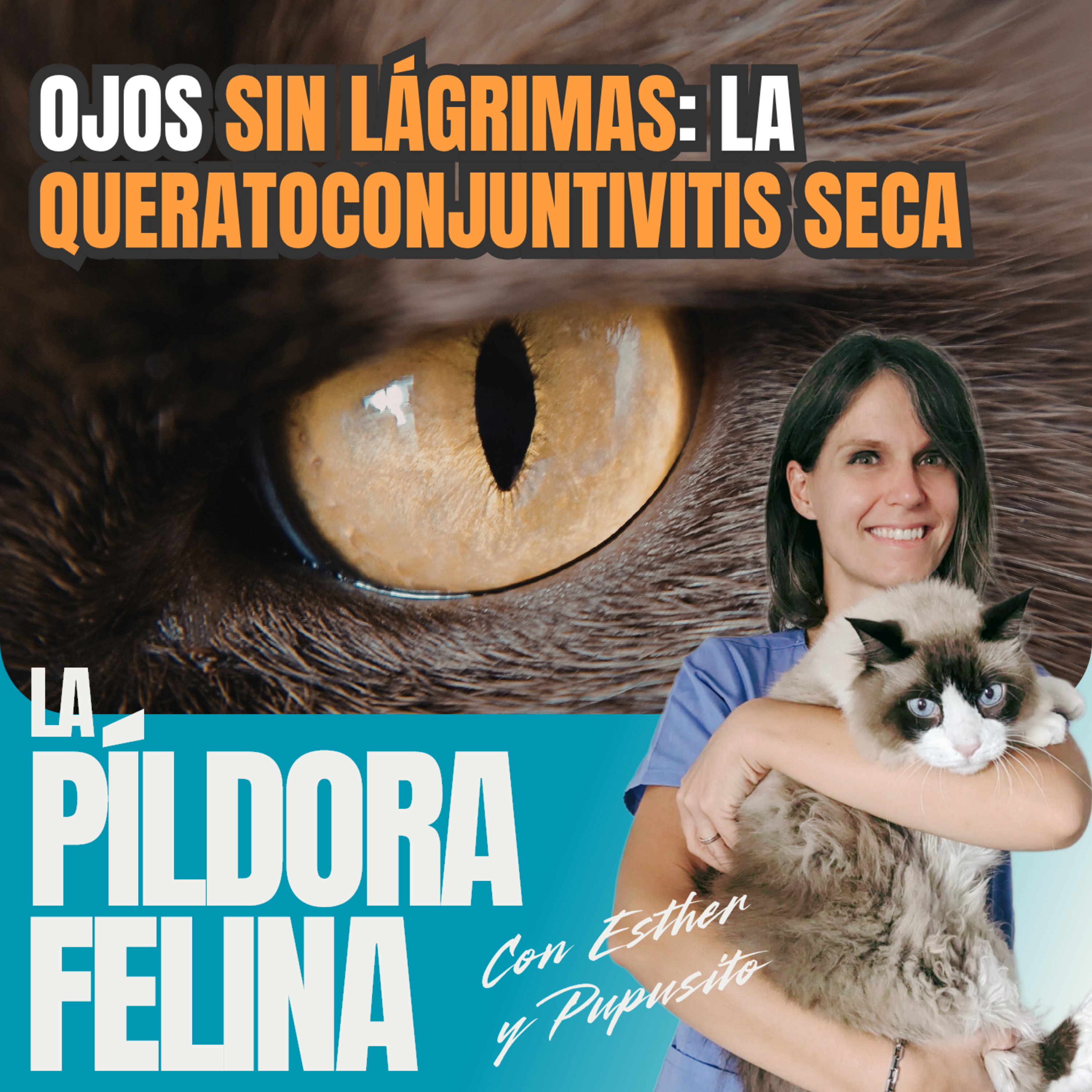 Imagen del episodio 671. Ojos SIN LÁGRIMAS: La QUERATOCONJUNTIVITIS SECA