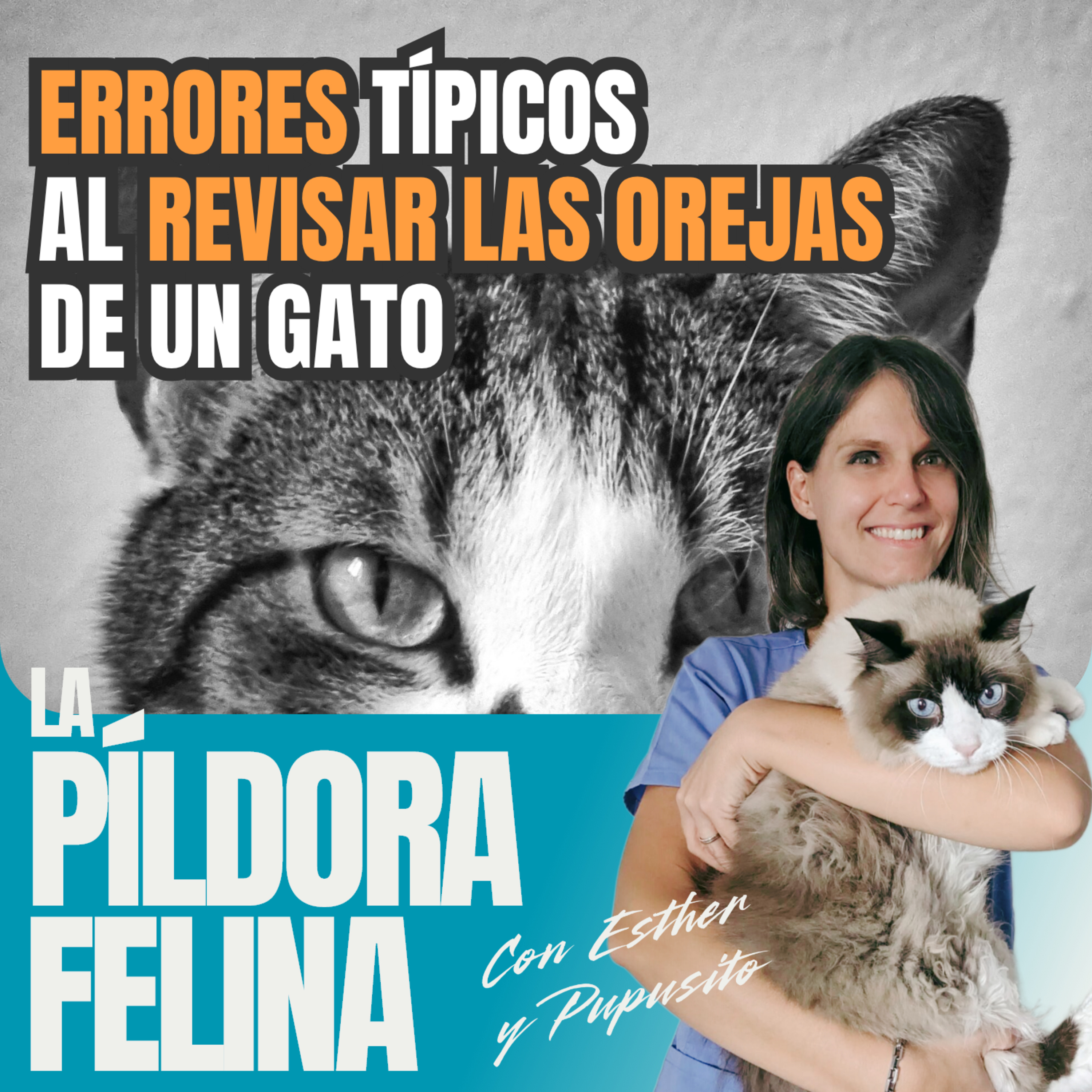 Imagen del episodio 672. ERRORES típicos al REVISAR LAS OREJAS de un gato