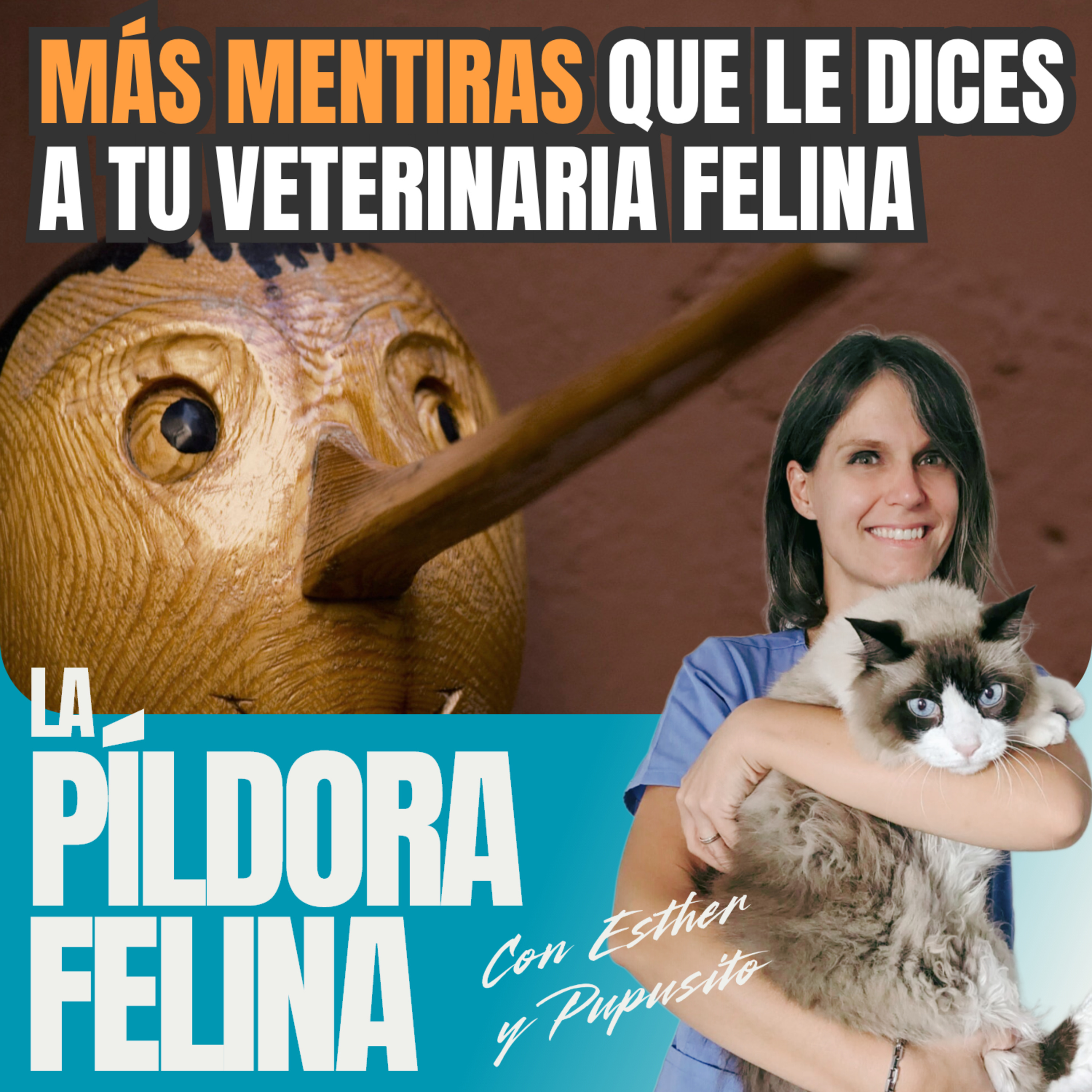 Imagen del episodio 675. MÁS MENTIRAS que le dices a tu veterinaria felina