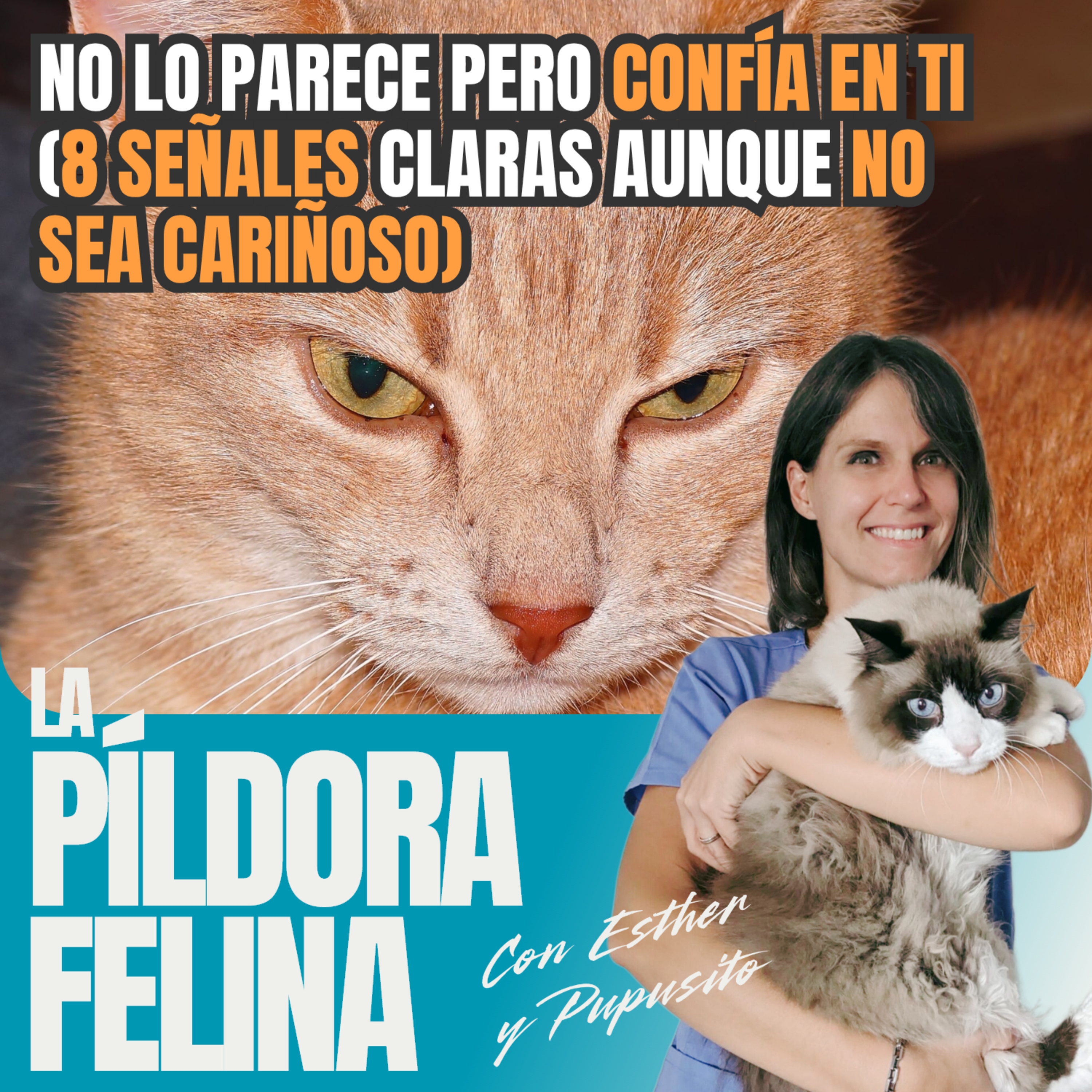 Imagen del episodio 674. No lo parece pero CONFÍA EN TI (8 SEÑALES claras AUNQUE NO SEA CARIÑOSO)