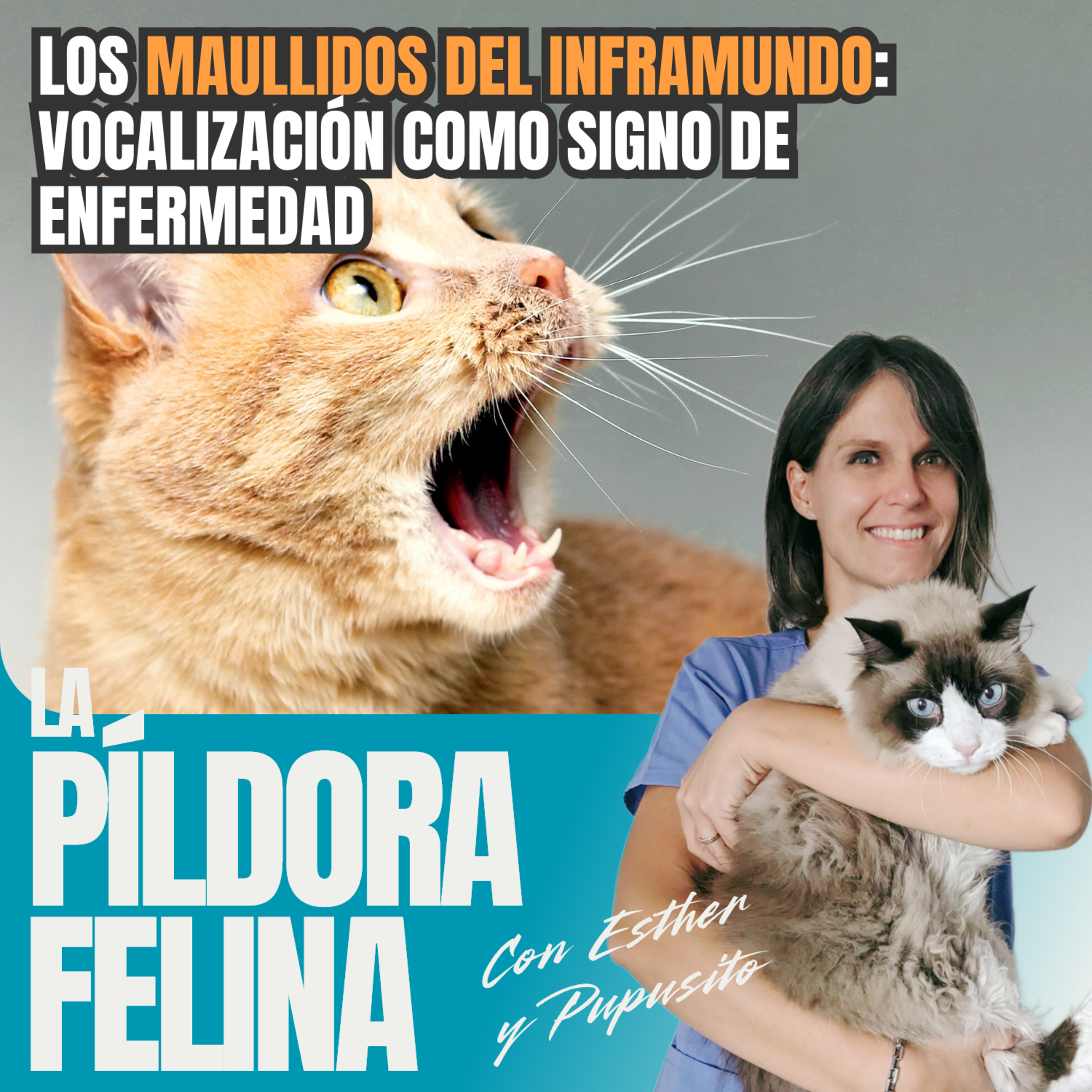 Imagen del episodio 681. Los MAULLIDOS DEL INFRAMUNDO: Vocalización como signo de enfermedad