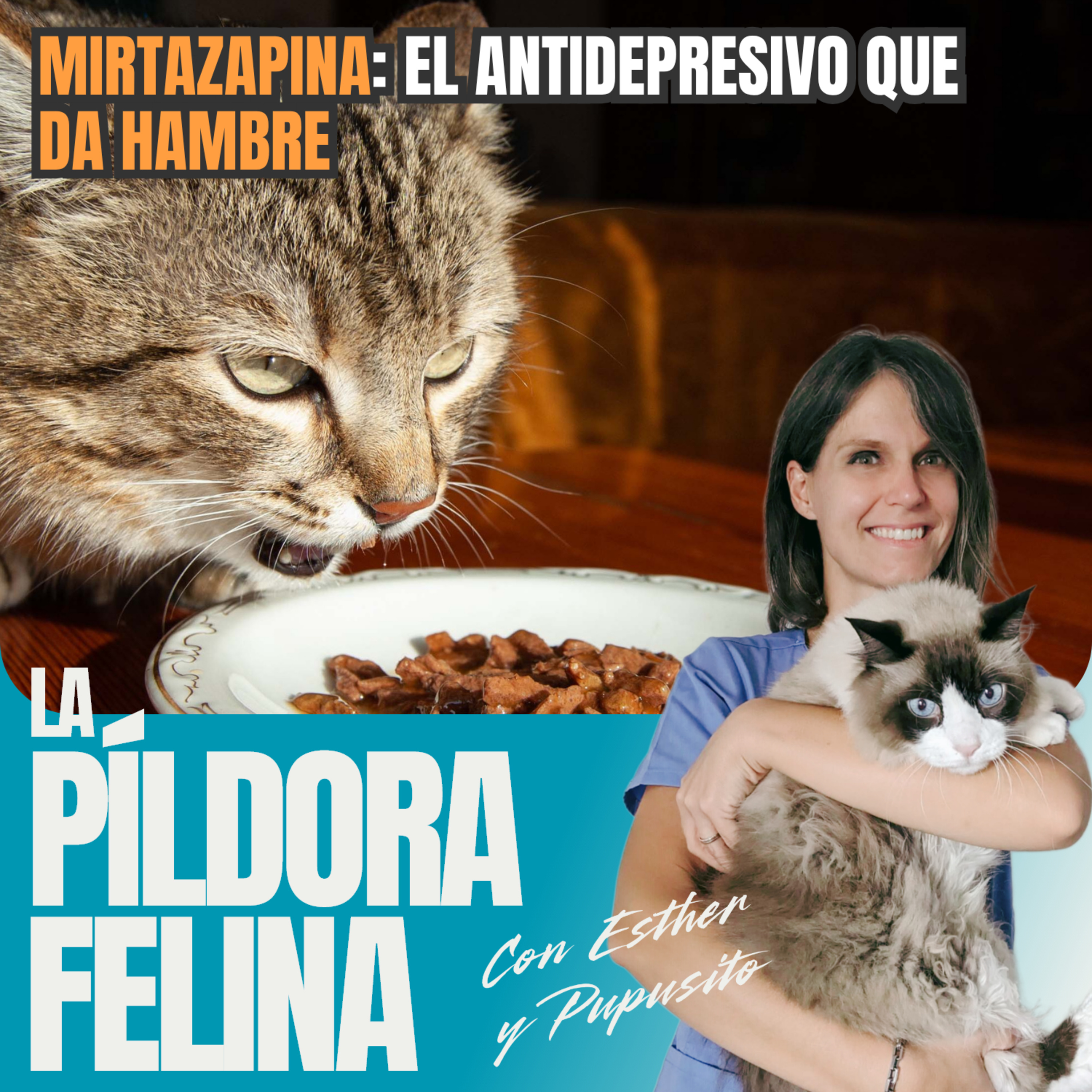 Imagen del episodio 682. MIRTAZAPINA: el antidepresivo que DA HAMBRE