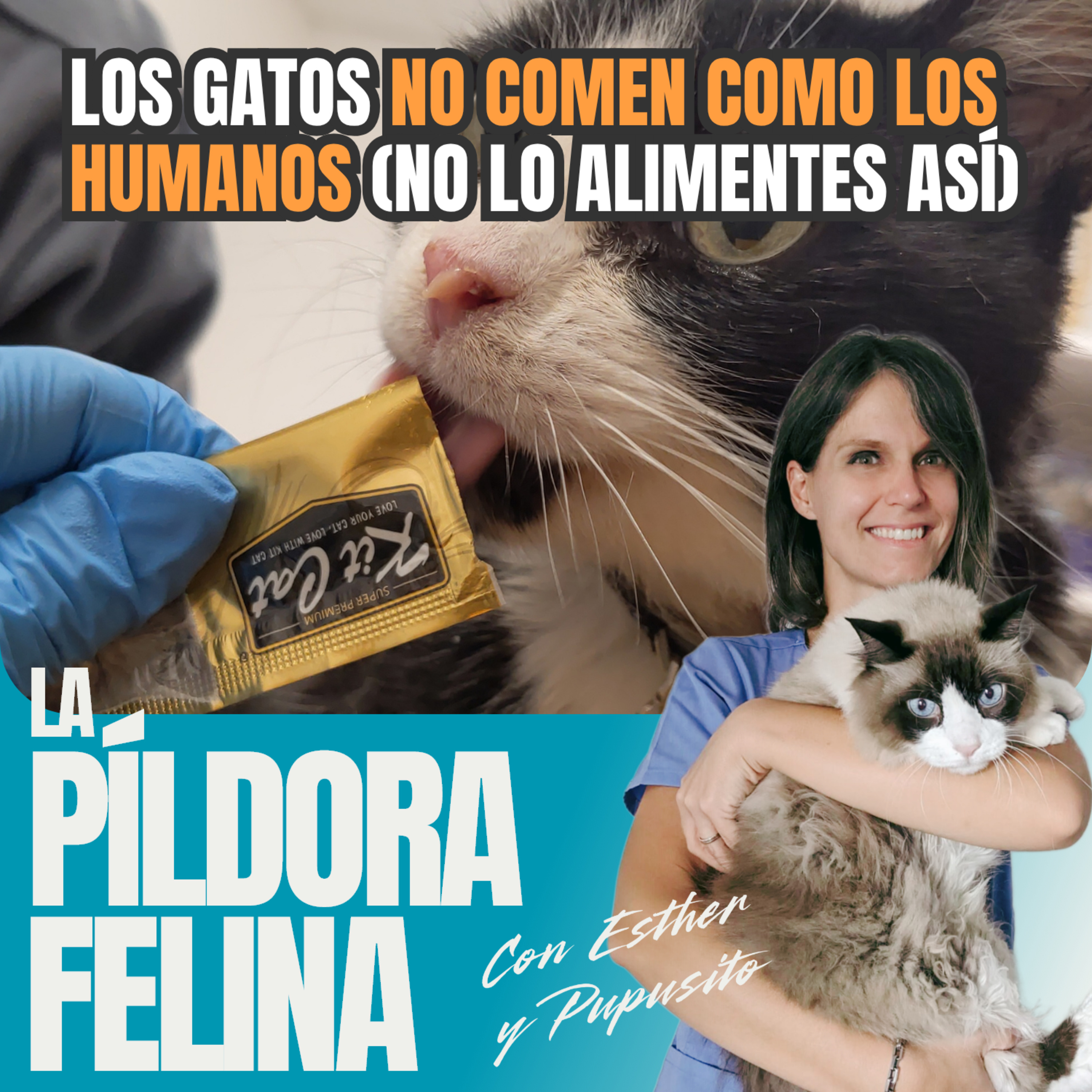 Imagen del episodio 688. Los gatos NO COMEN como los humanos (NO lo alimentes ASÍ)