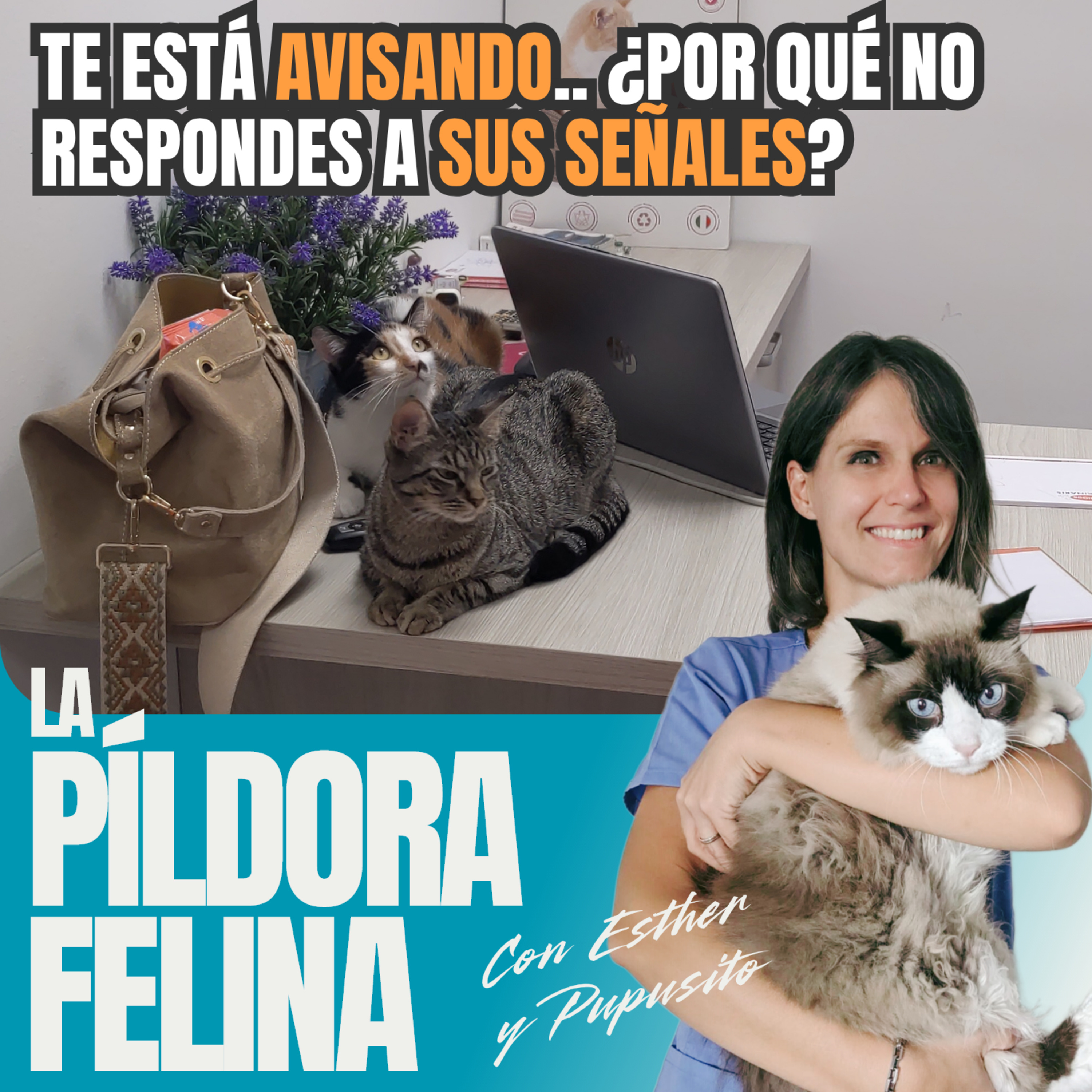 Imagen del episodio 689. Te está AVISANDO.. ¿Por qué no respondes a SUS SEÑALES?