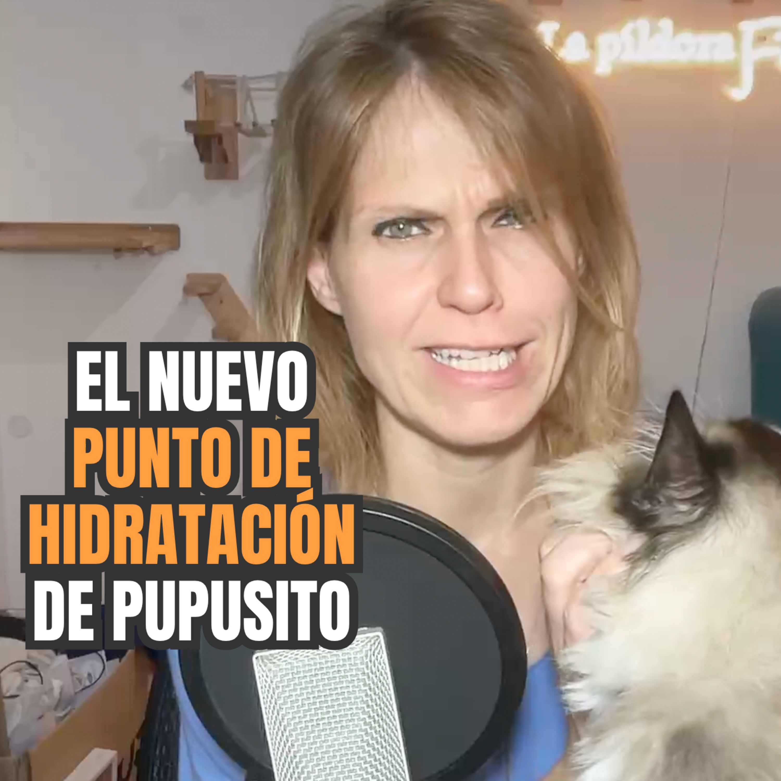 Imagen del episodio 690. El nuevo PUNTO DE HIDRATACIÓN de Pupusito