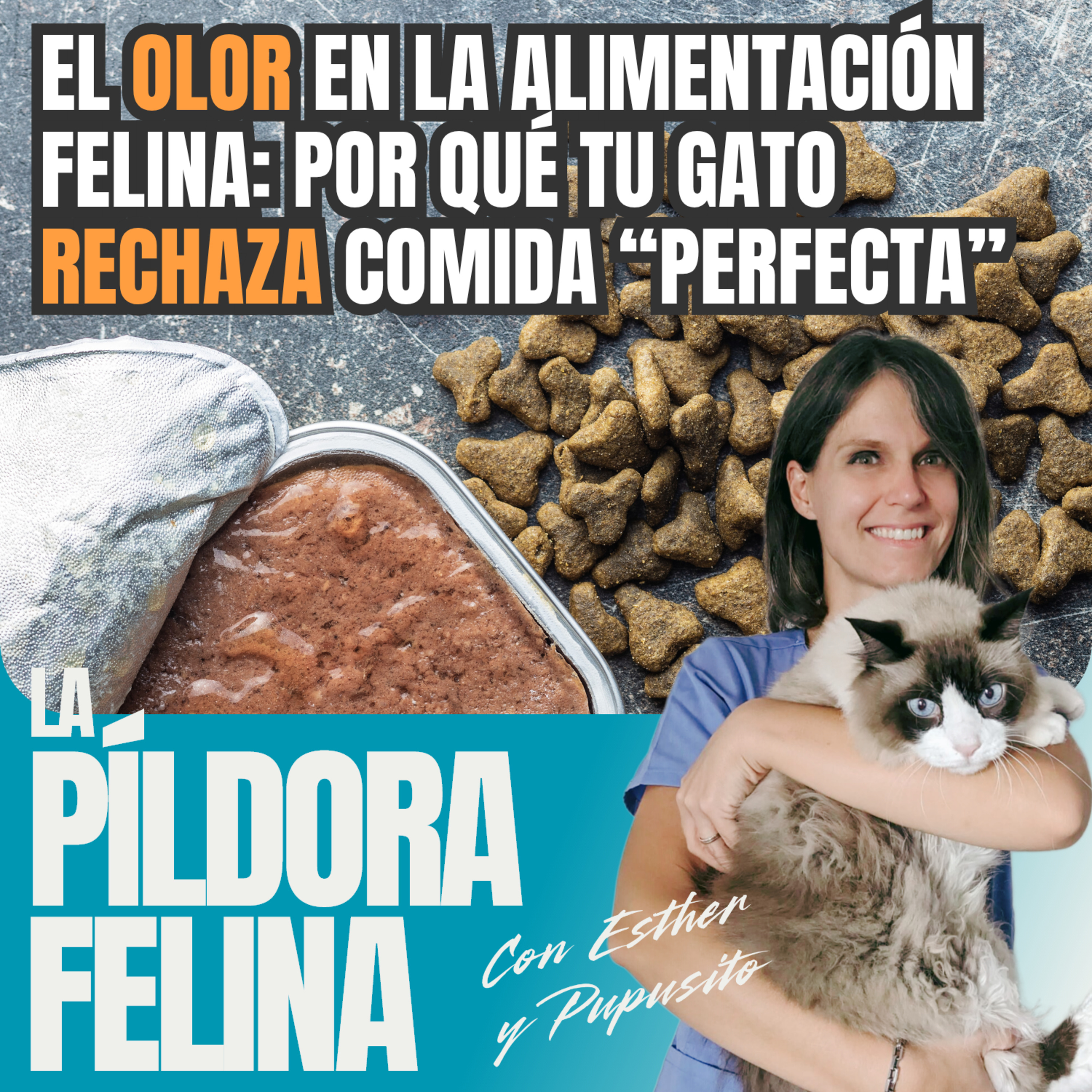 Imagen del episodio 703. El OLOR en la alimentación felina: por qué tu gato RECHAZA comida “perfecta”