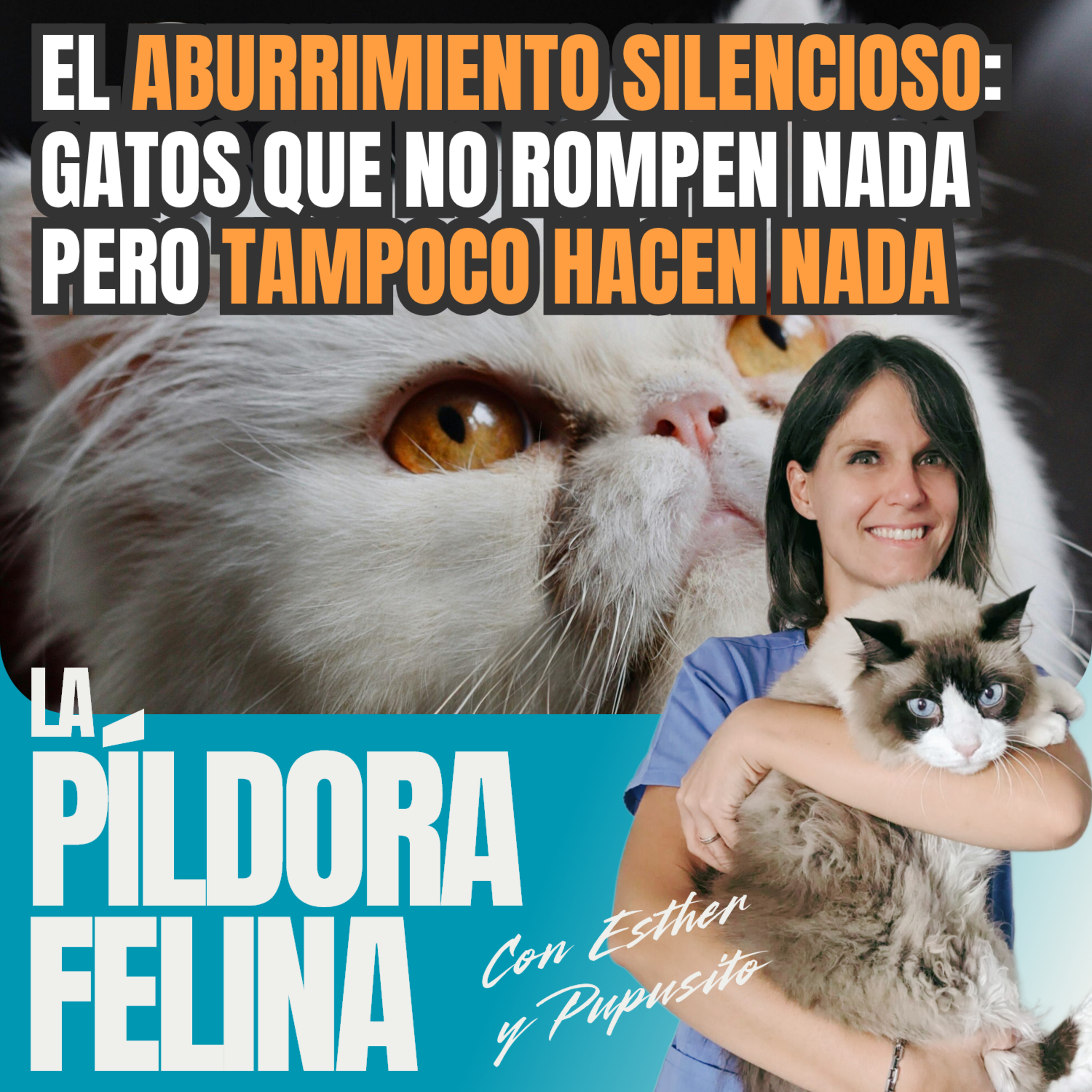 Imagen del episodio 704. El ABURRIMIENTO SILENCIOSO: gatos que no rompen nada pero tampoco HACEN NADA
