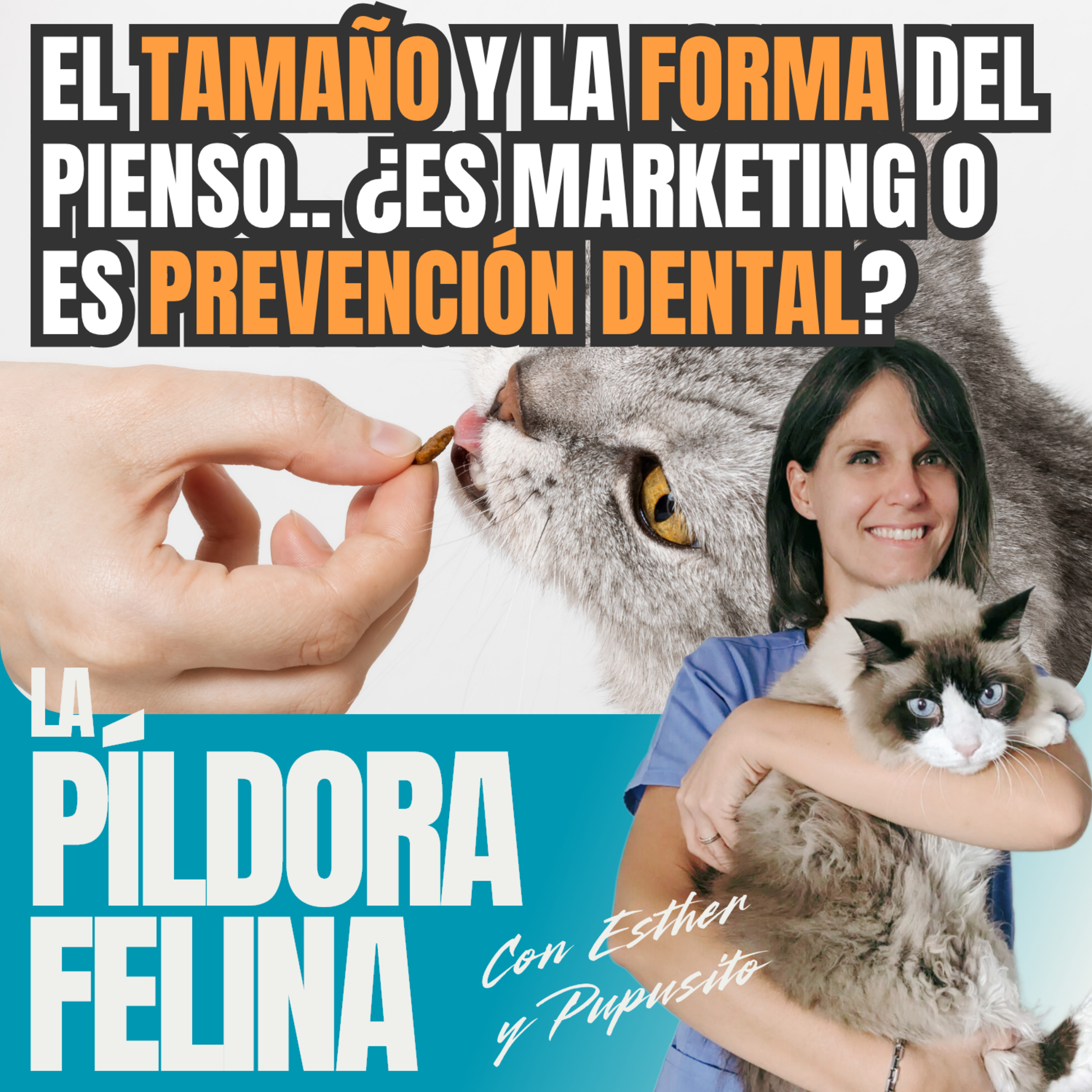 Imagen del episodio 708. El TAMAÑO y la FORMA del pienso.. ¿Es marketing o es PREVENCIÓN DENTAL?