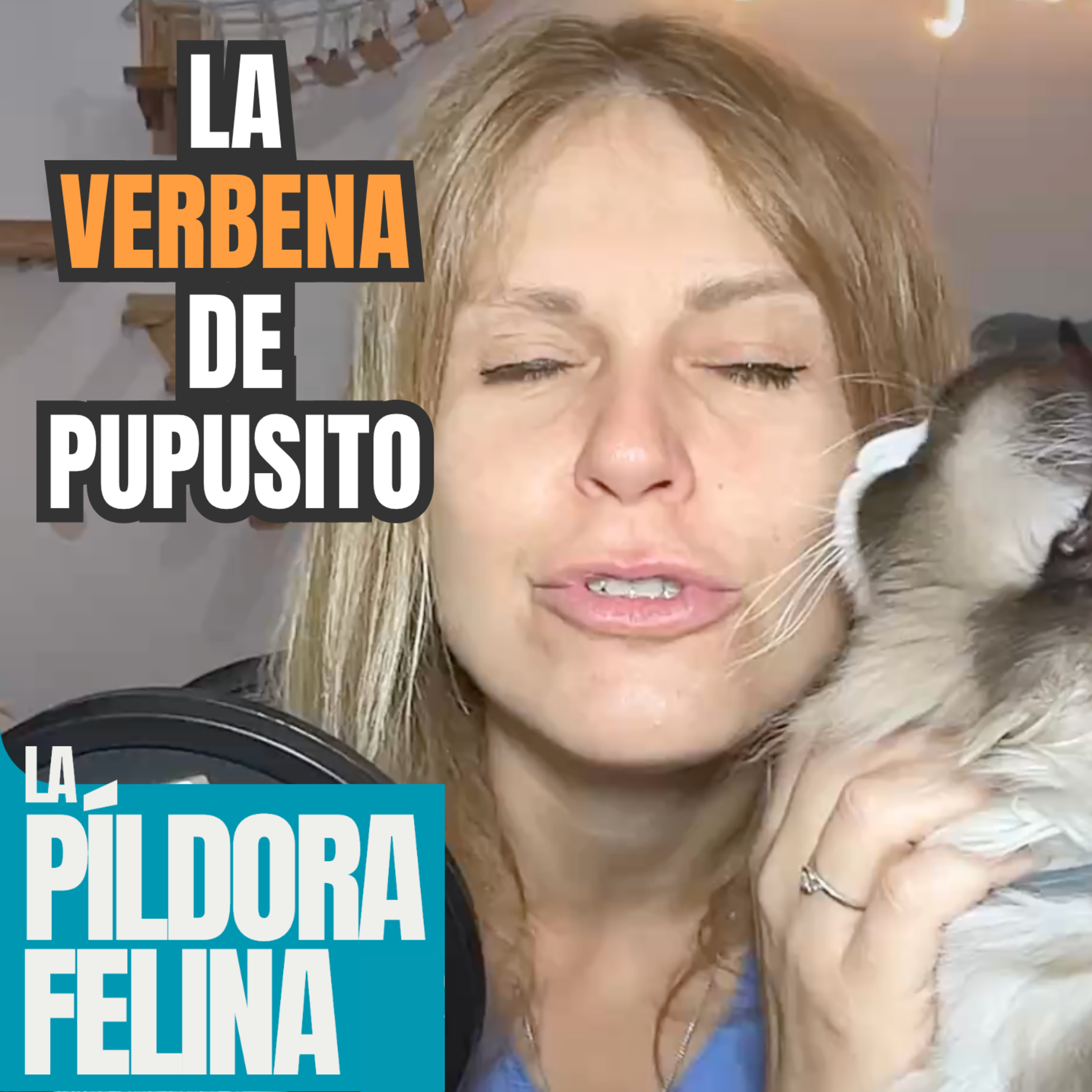 Imagen del episodio 710. La VERBENA de Pupusito
