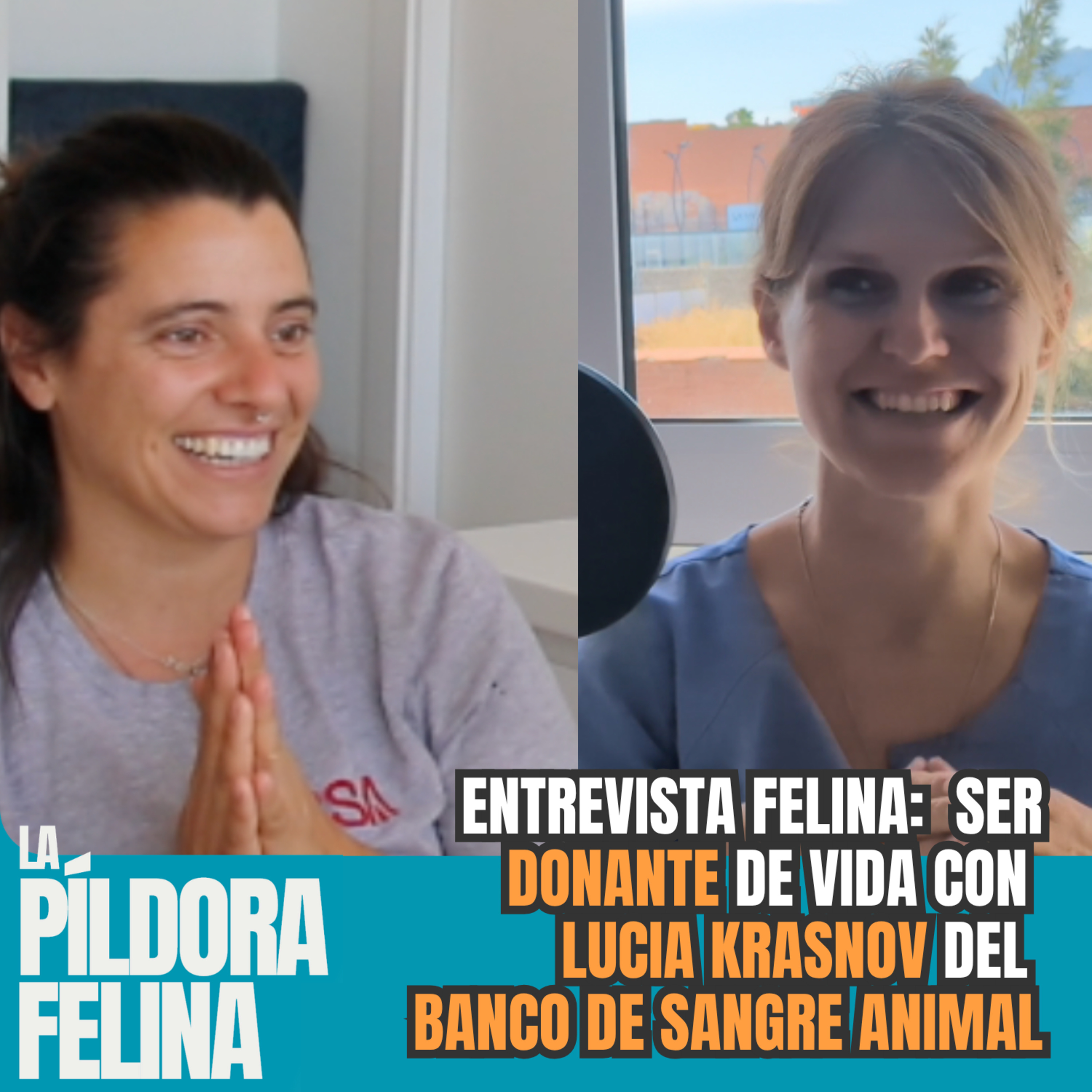 Imagen del episodio 715. Entrevista Felina- Ser DONANTE de vida con LUCIA KRASNOV del BANCO de SANGRE Animal