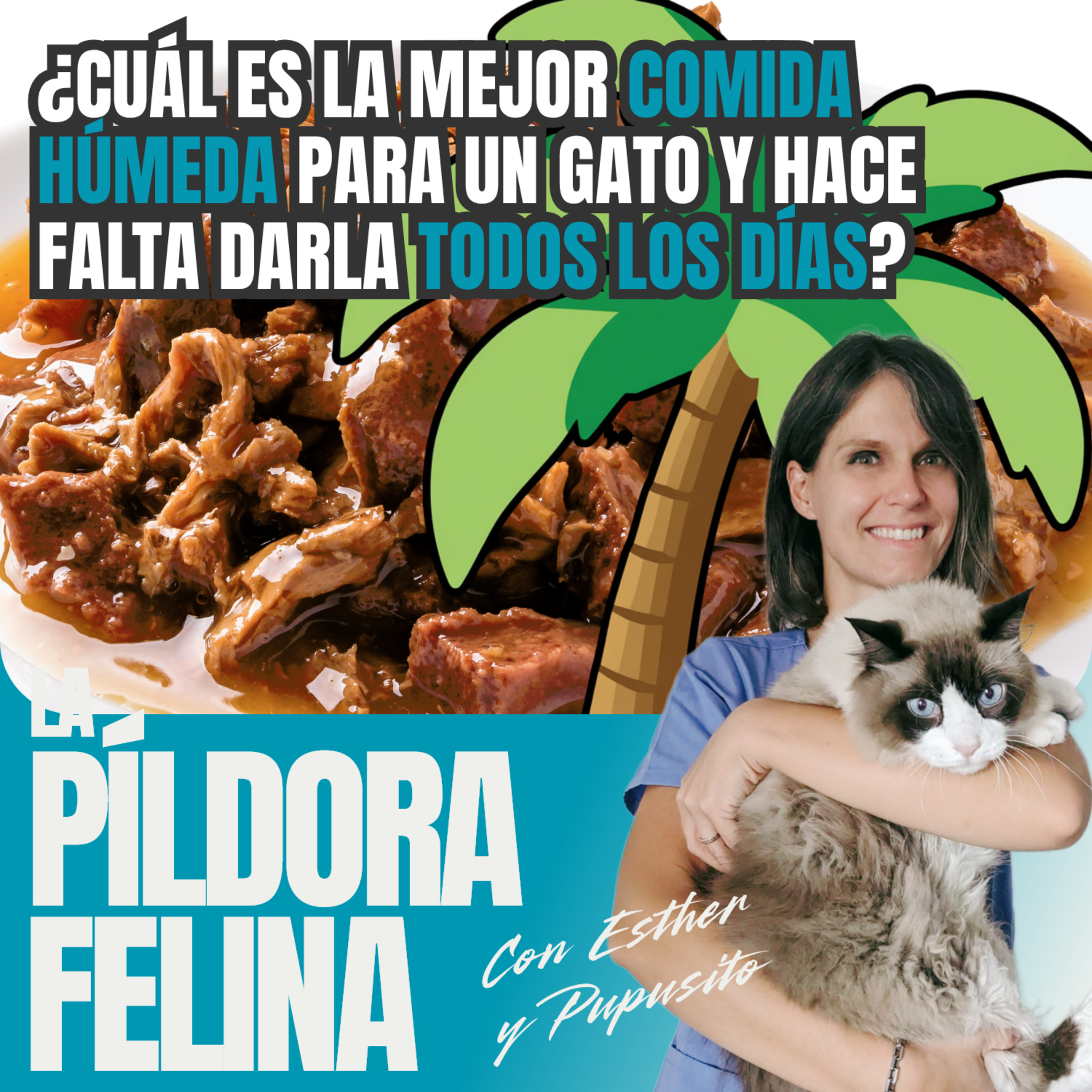 Imagen del episodio 716. PF 🏖️ ¿Cuál es la mejor comida húmeda para un gato y hace falta darla todos los días?