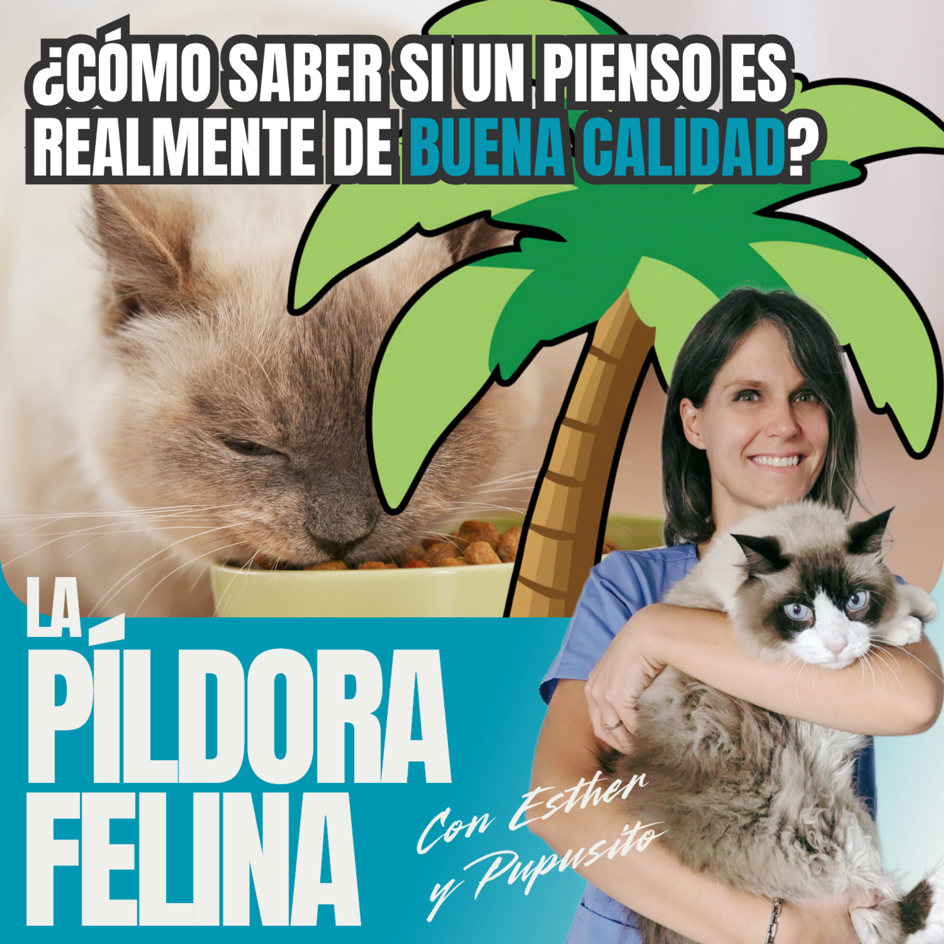 Imagen del episodio 717. PF 🏖️ ¿Cómo saber si un pienso es realmente de buena calidad?