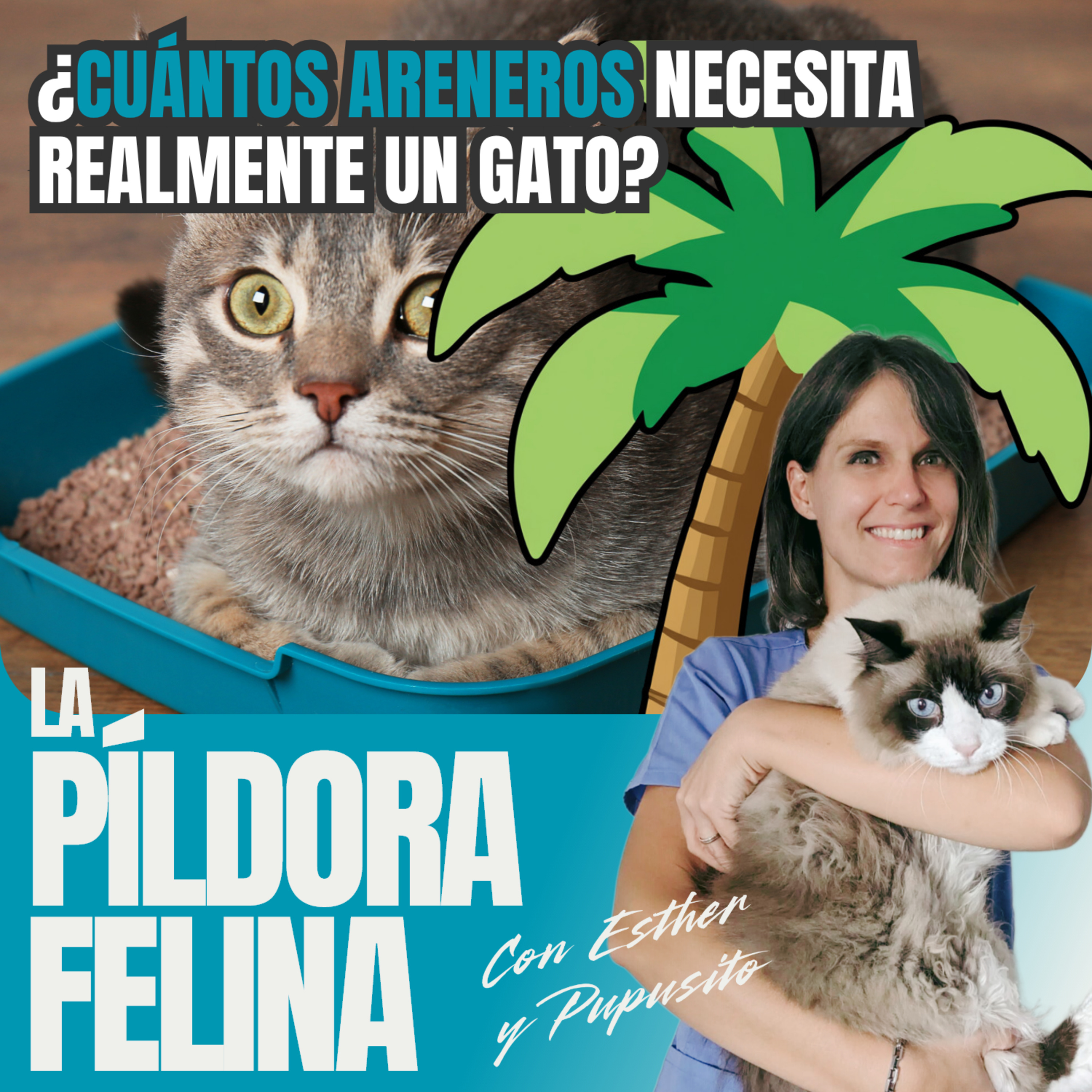 Imagen del episodio 718. PF 🏖️ ¿Cuántos areneros necesita realmente un gato?