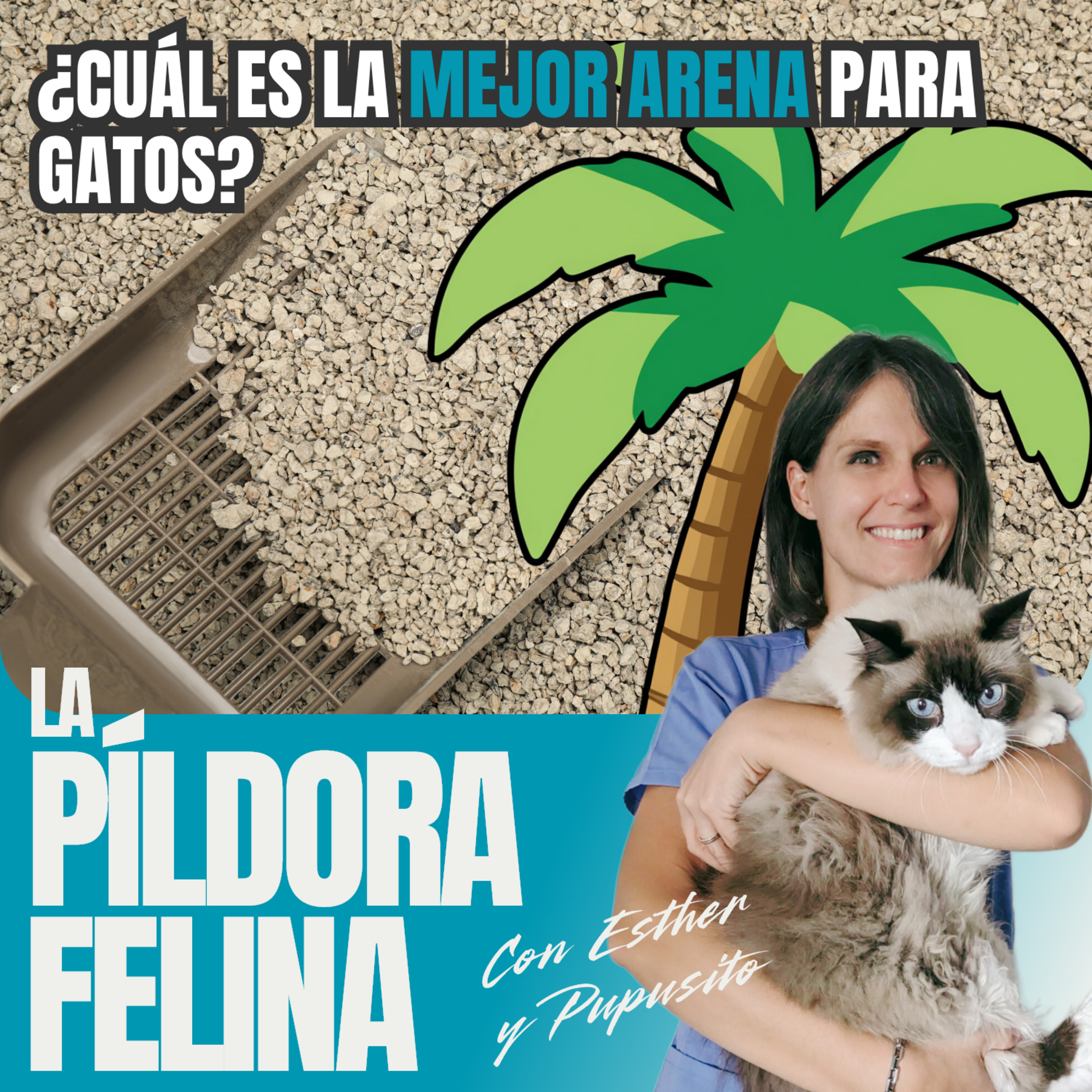 Imagen del episodio 719. PF 🏖️ ¿Cuál es la mejor arena para gatos?