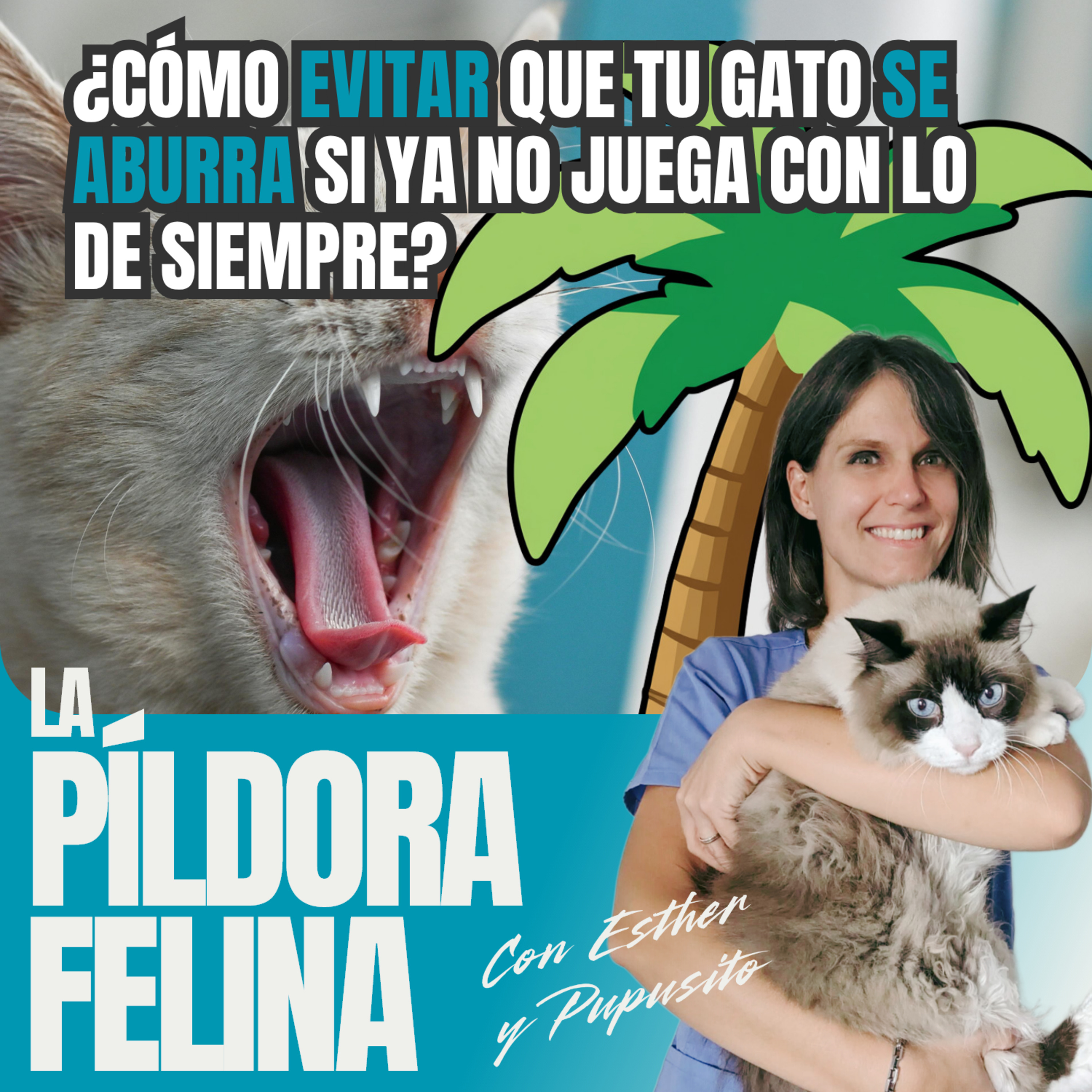 Imagen del episodio 723. PF 🏖️ ¿Cómo EVITAR que tu gato SE ABURRA si ya no juega con lo de siempre?
