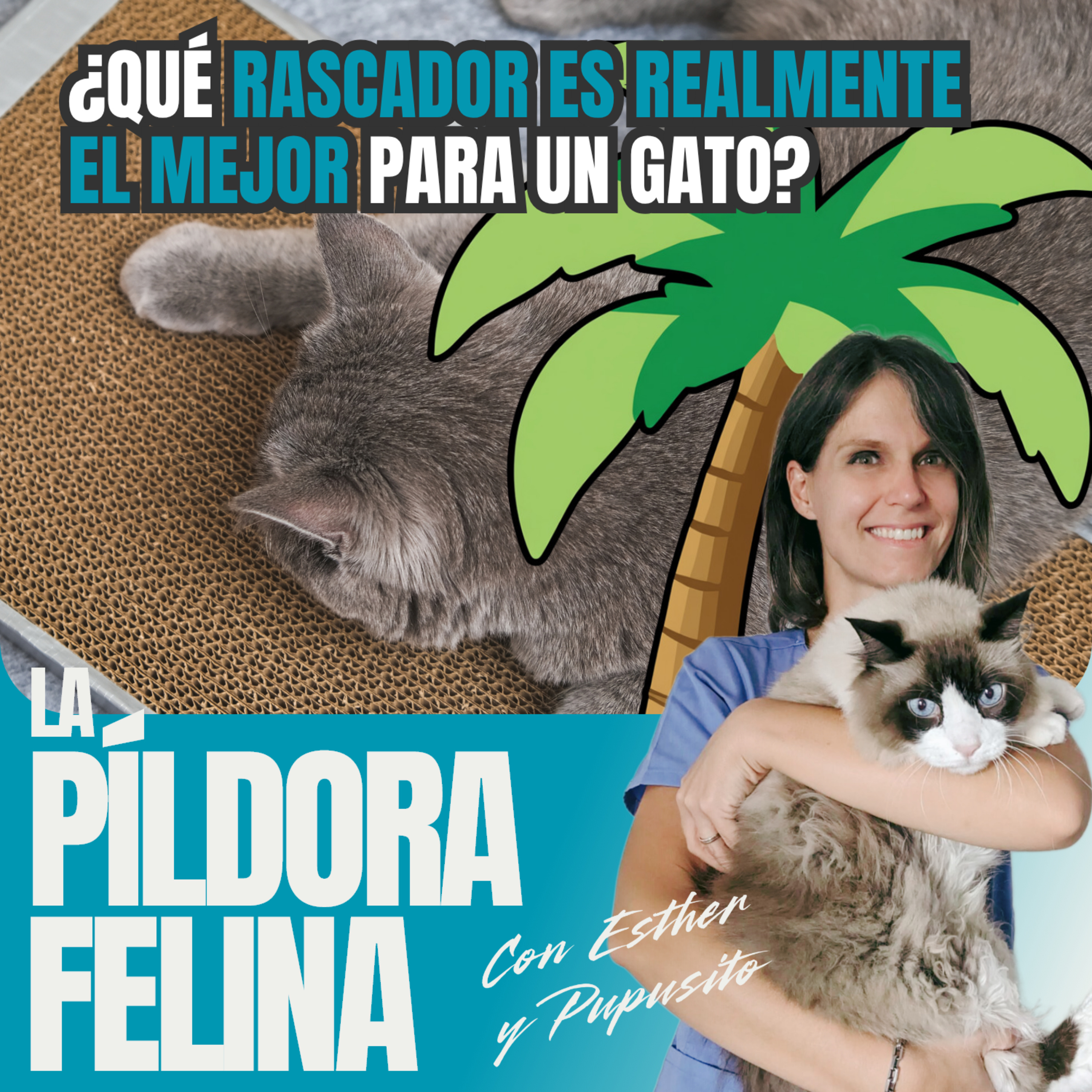 Imagen del episodio 726. PF 🏖️ ¿Qué rascador es realmente el mejor para un gato?