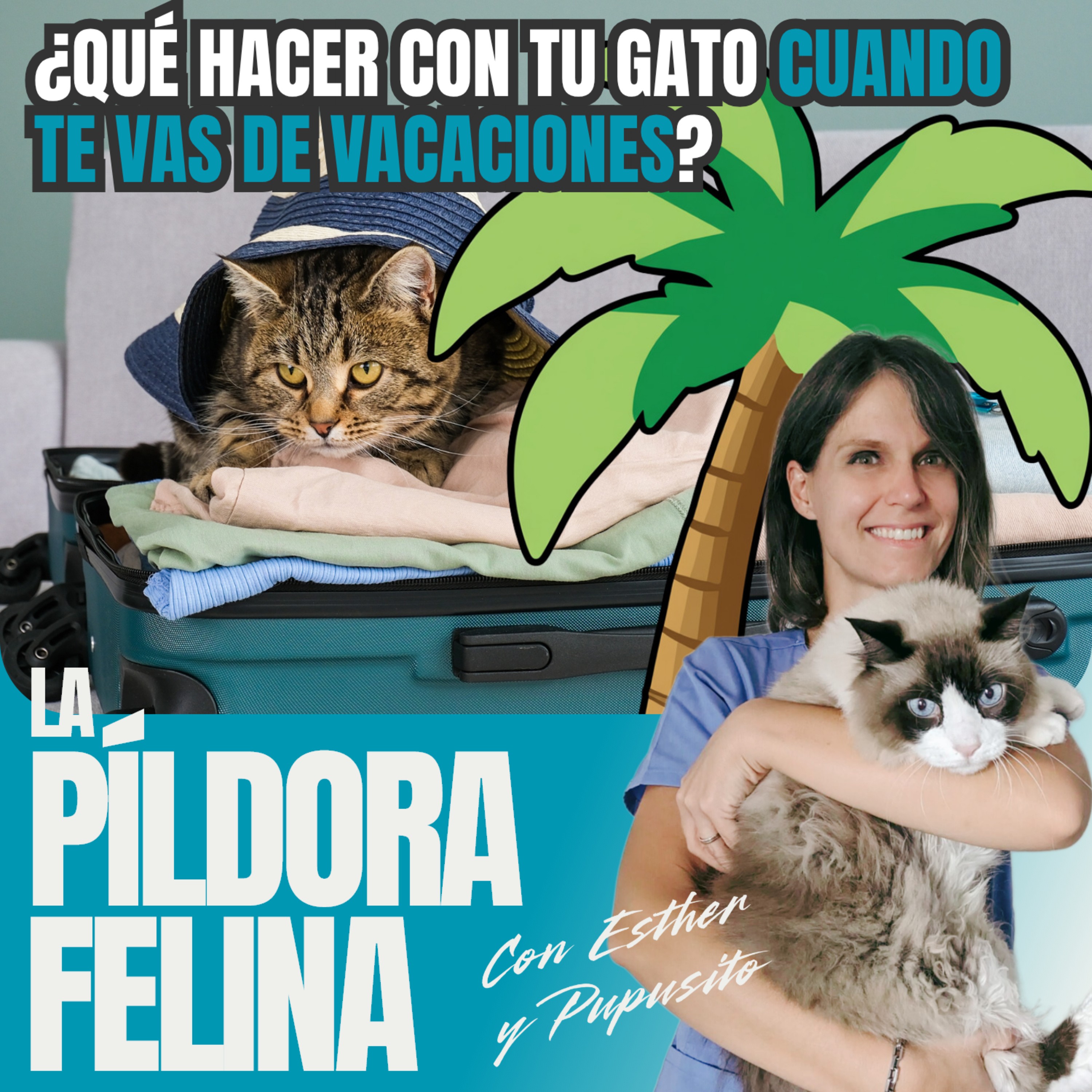 Imagen del episodio 733. PF 🏖️ ¿Qué hacer con tu gato cuando te vas de vacaciones?