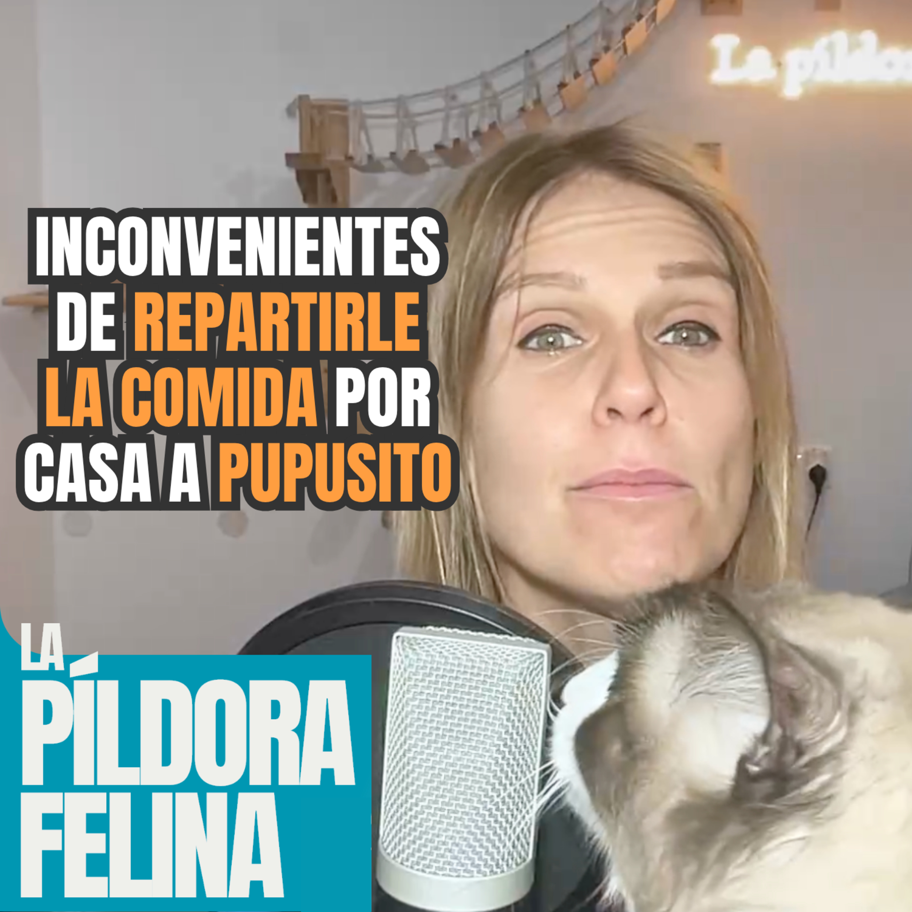 730. Inconvenientes de REPARTIRLE LA COMIDA por casa a Pupusito episode artwork