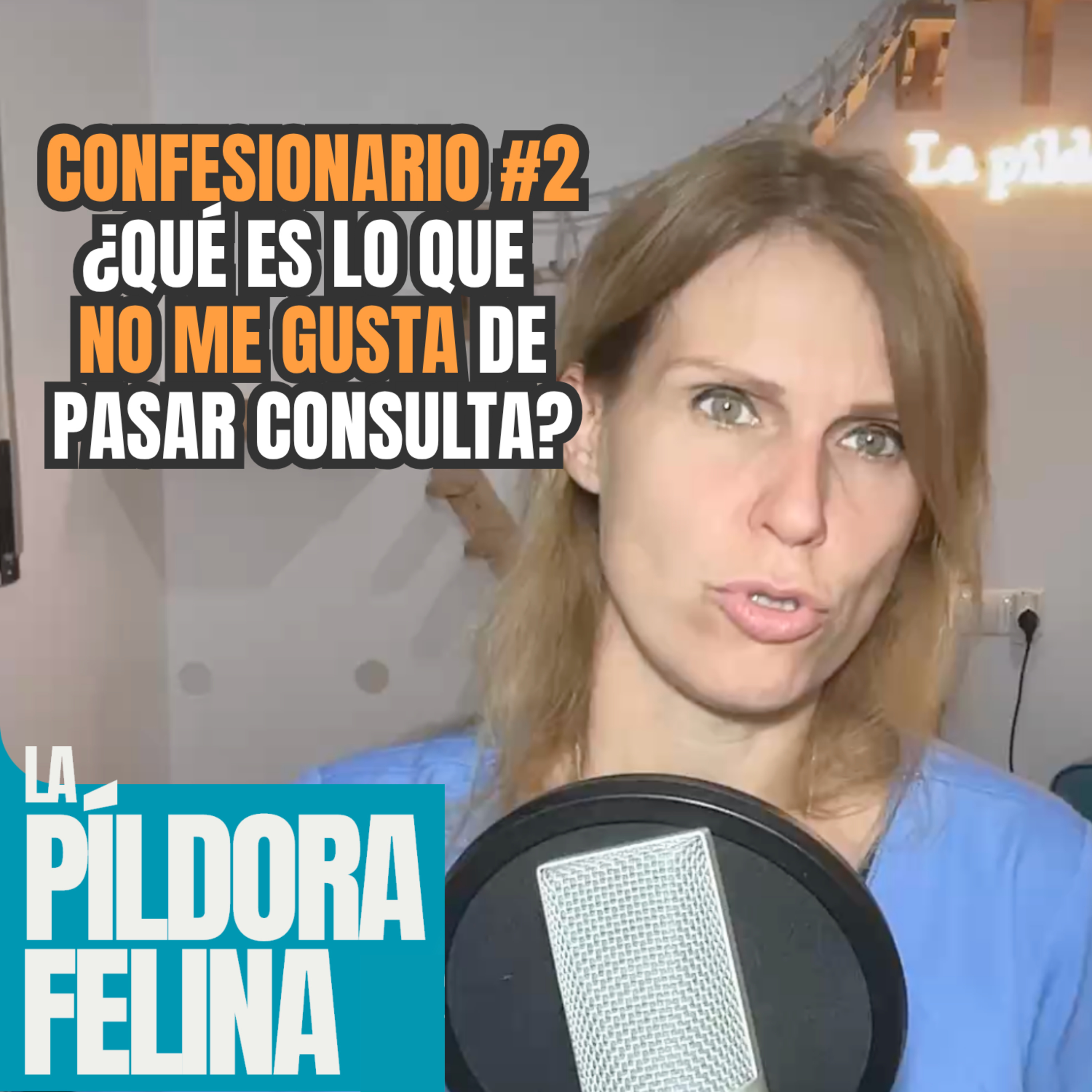 Imagen del episodio 735. 🔒CONFESIONARIO #2 ¿Qué es lo que NO ME GUSTA de pasar consulta?