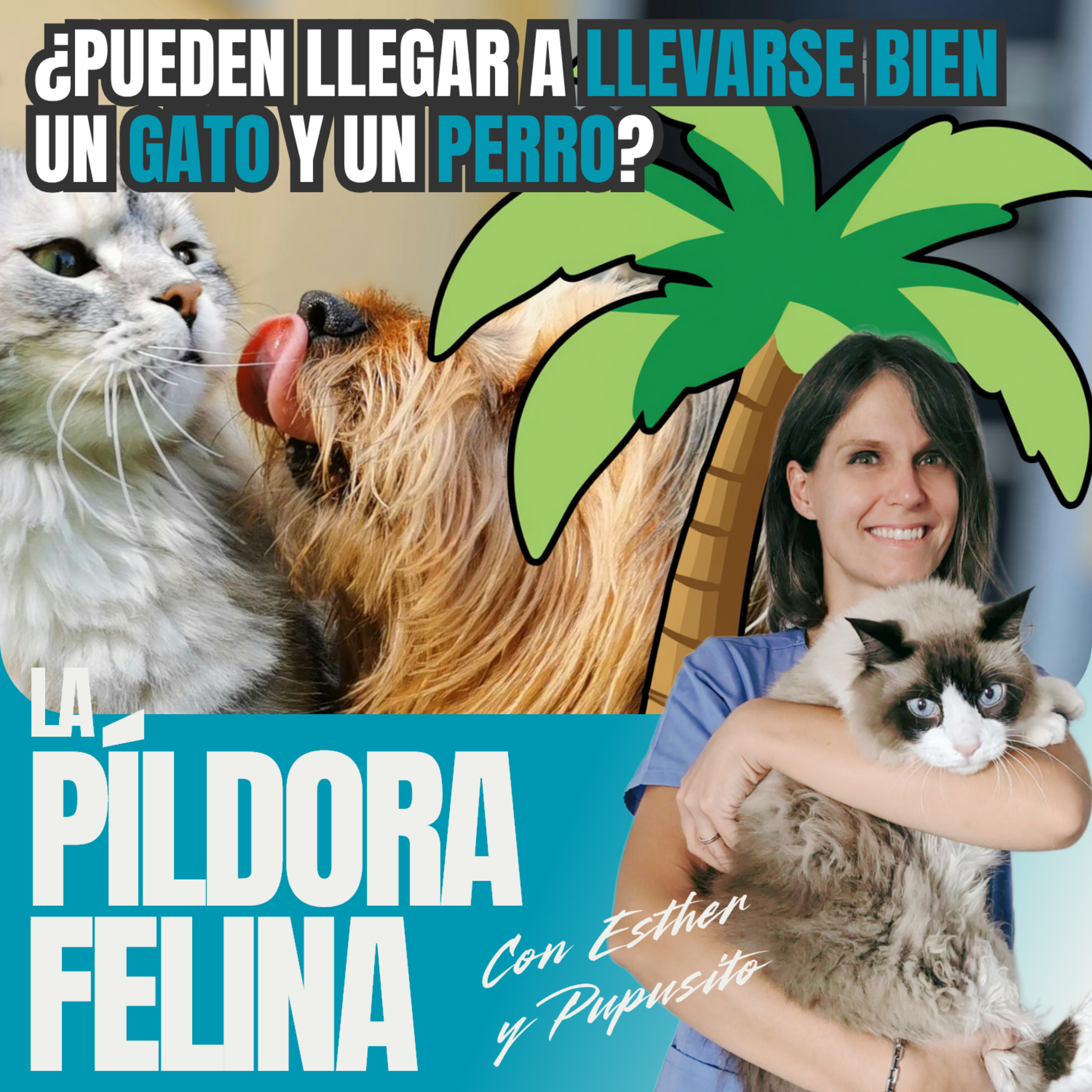 Imagen del episodio 748. PF 🏖️ ¿Pueden llegar a LLEVARSE BIEN un GATO y un PERRO?