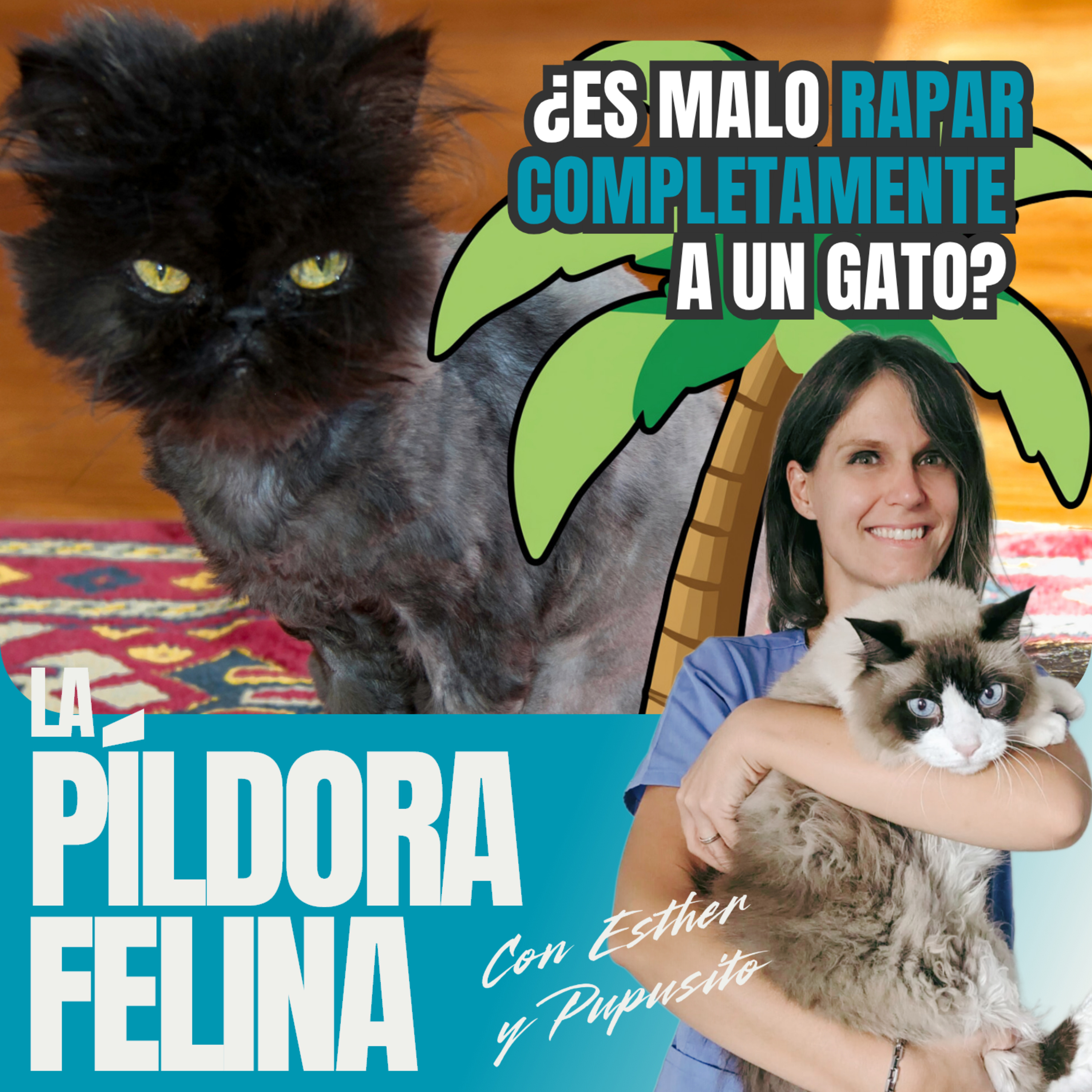 Imagen del episodio 757. PF 🏖️ ¿Es malo RAPAR COMPLETAMENTE a un gato? CARLOS VICH responde