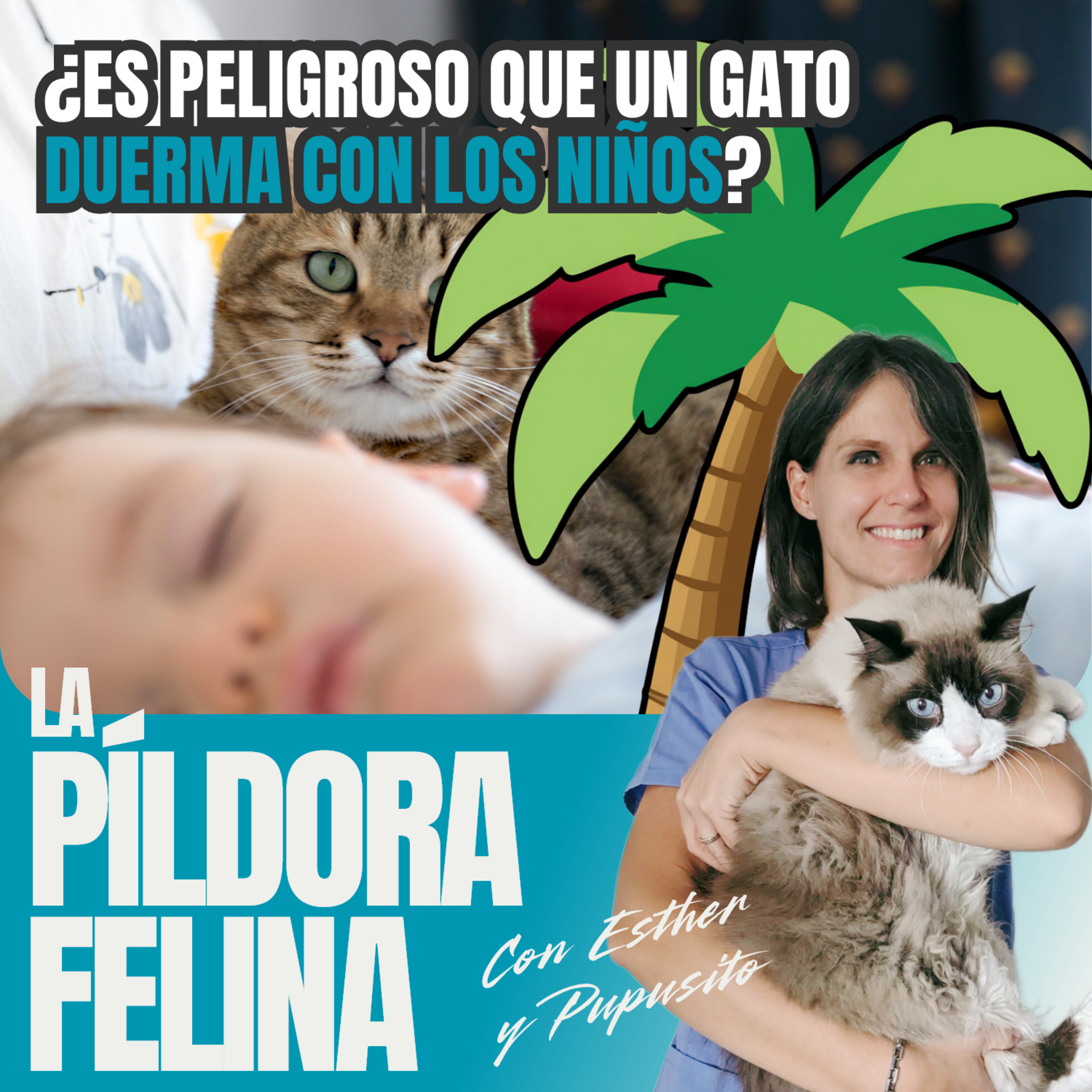 Imagen del episodio 759. PF 🏖️ ¿Es peligroso que un gato DUERMA CON LOS NIÑOS? KAI MERCADÉ responde