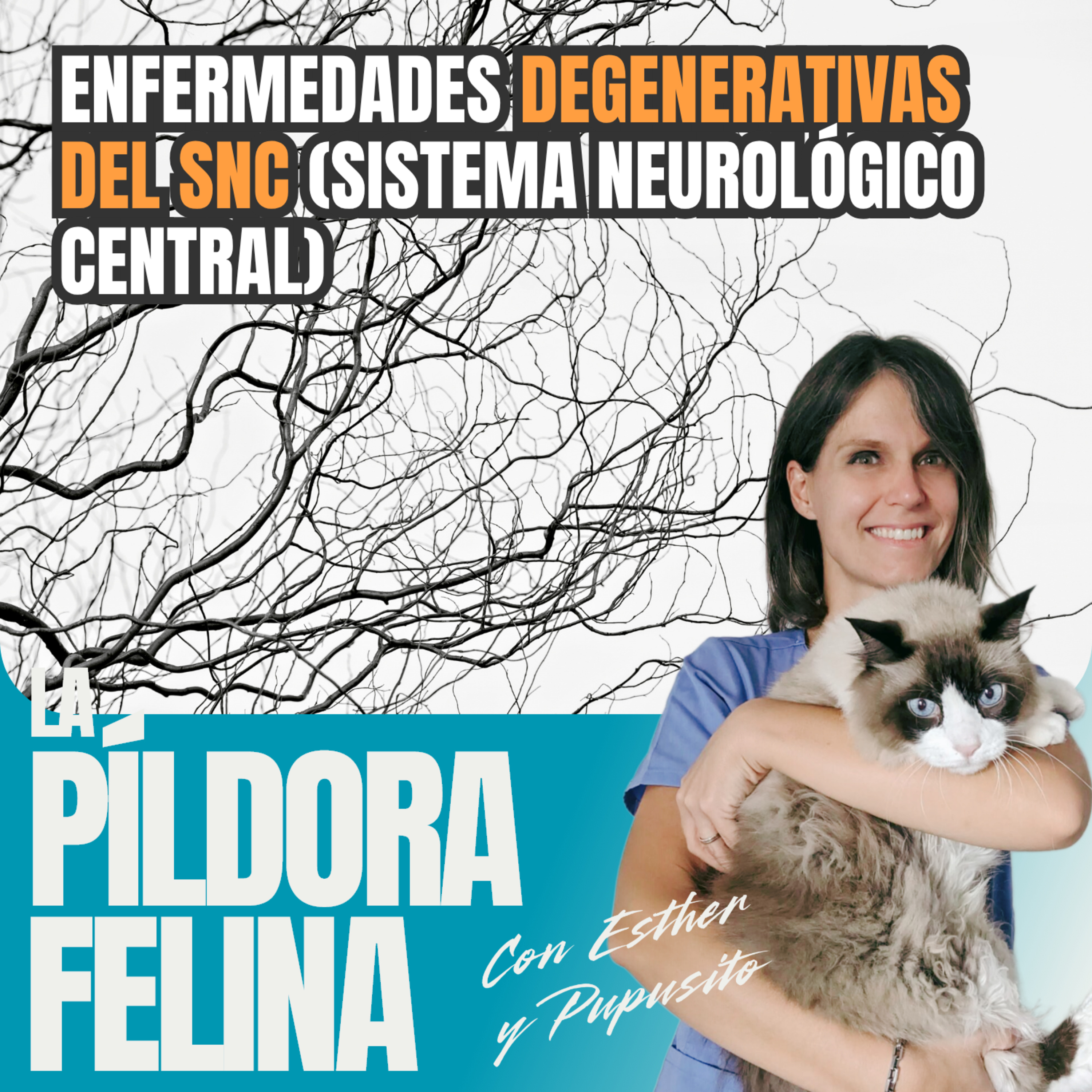 Imagen del episodio 761. Enfermedades DEGENERATIVAS del SNC (Sistema Neurológico Central)