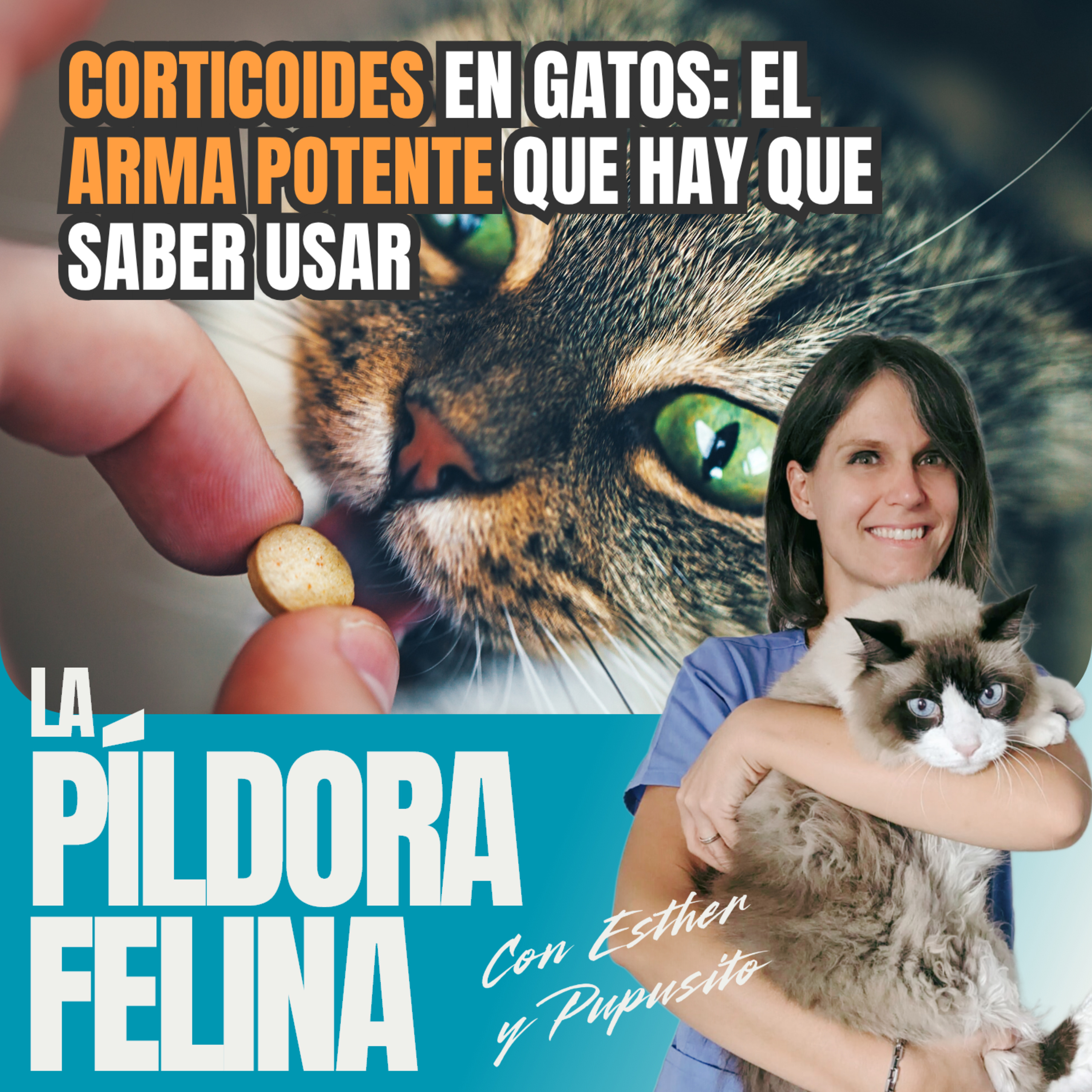 Imagen del episodio 762. Corticoides en gatos: el ARMA POTENTE que hay que saber usar