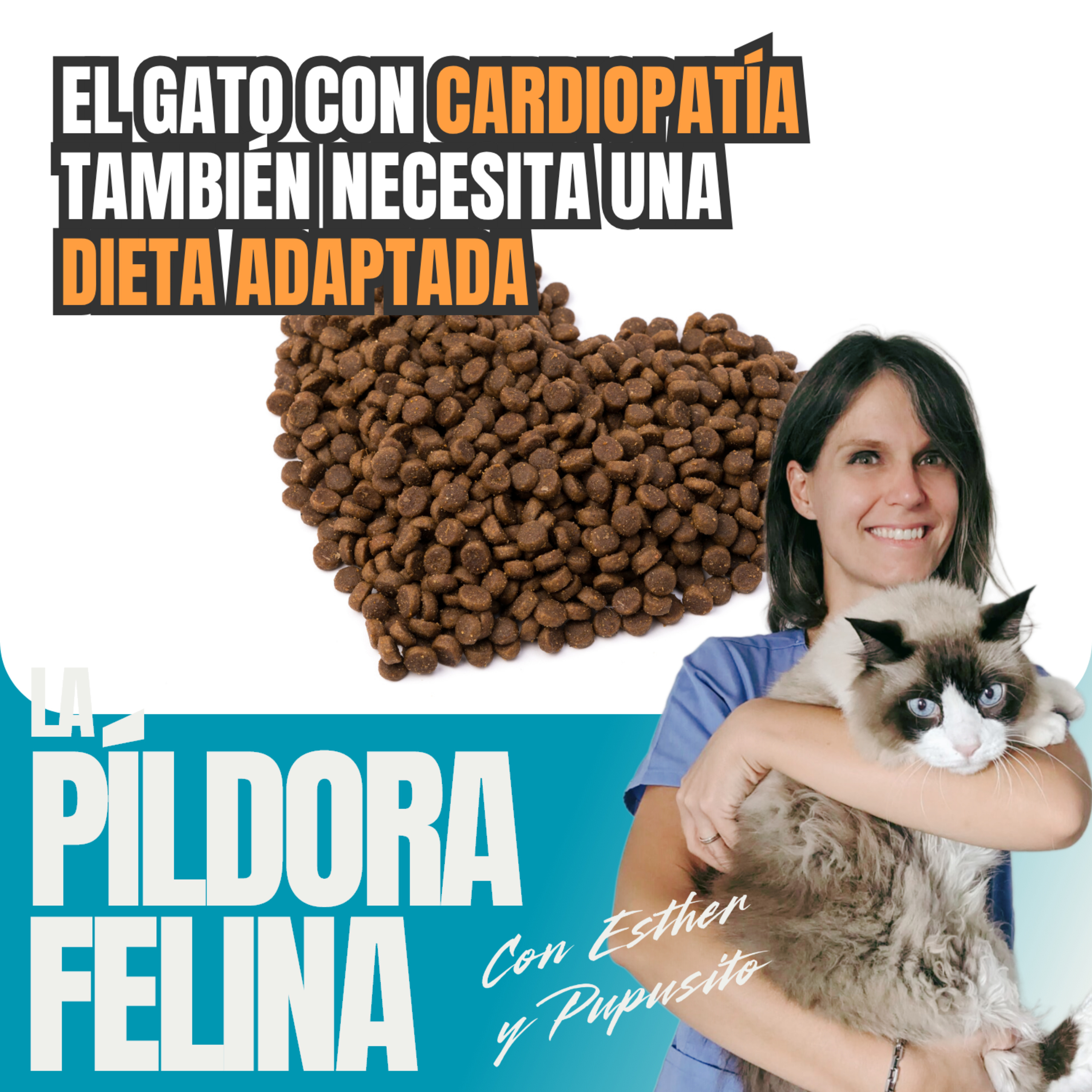 Imagen del episodio 763. El gato con CARDIOPATÍA también necesita una DIETA ADAPTADA