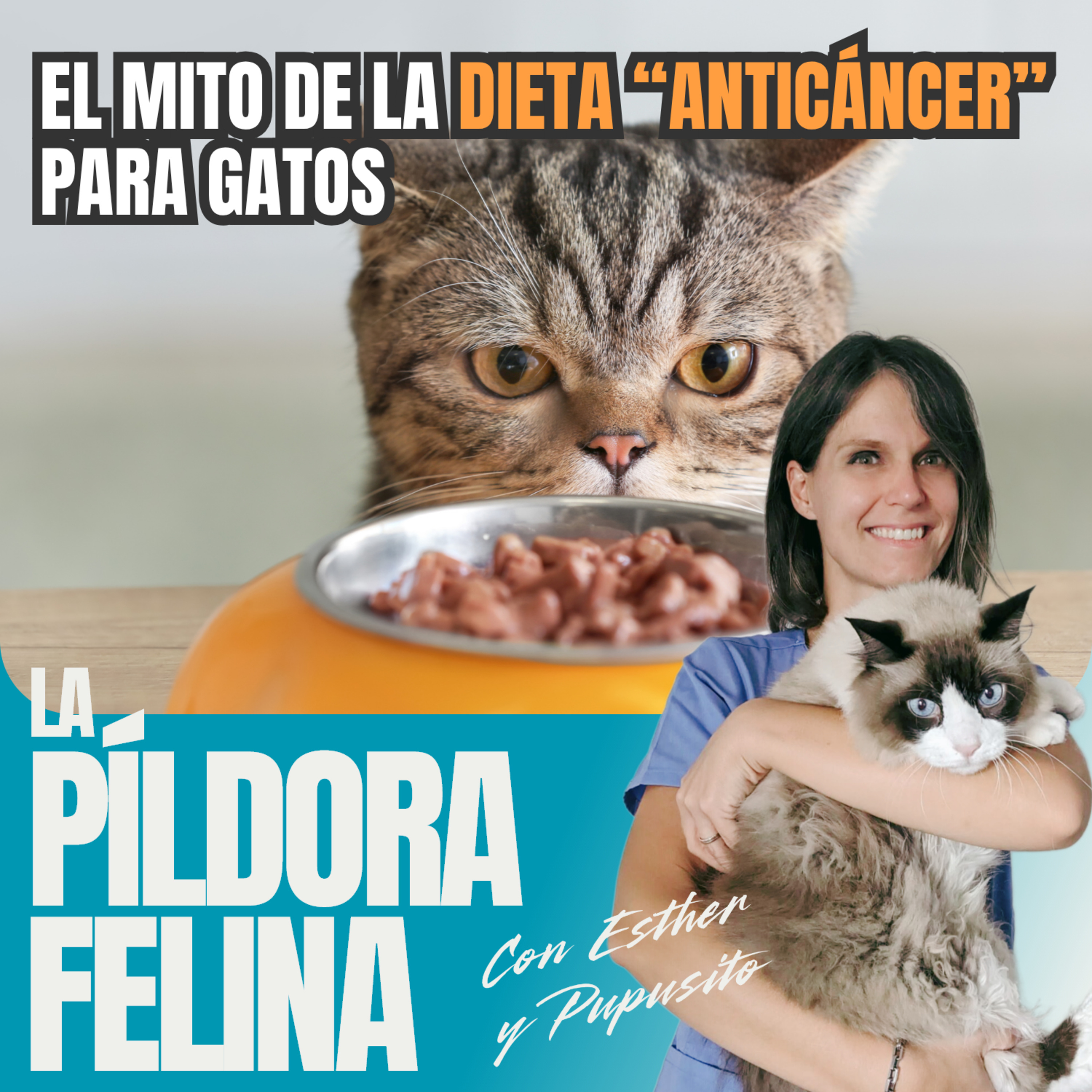 Imagen del episodio 768. El mito de la DIETA “ANTICÁNCER” para gatos