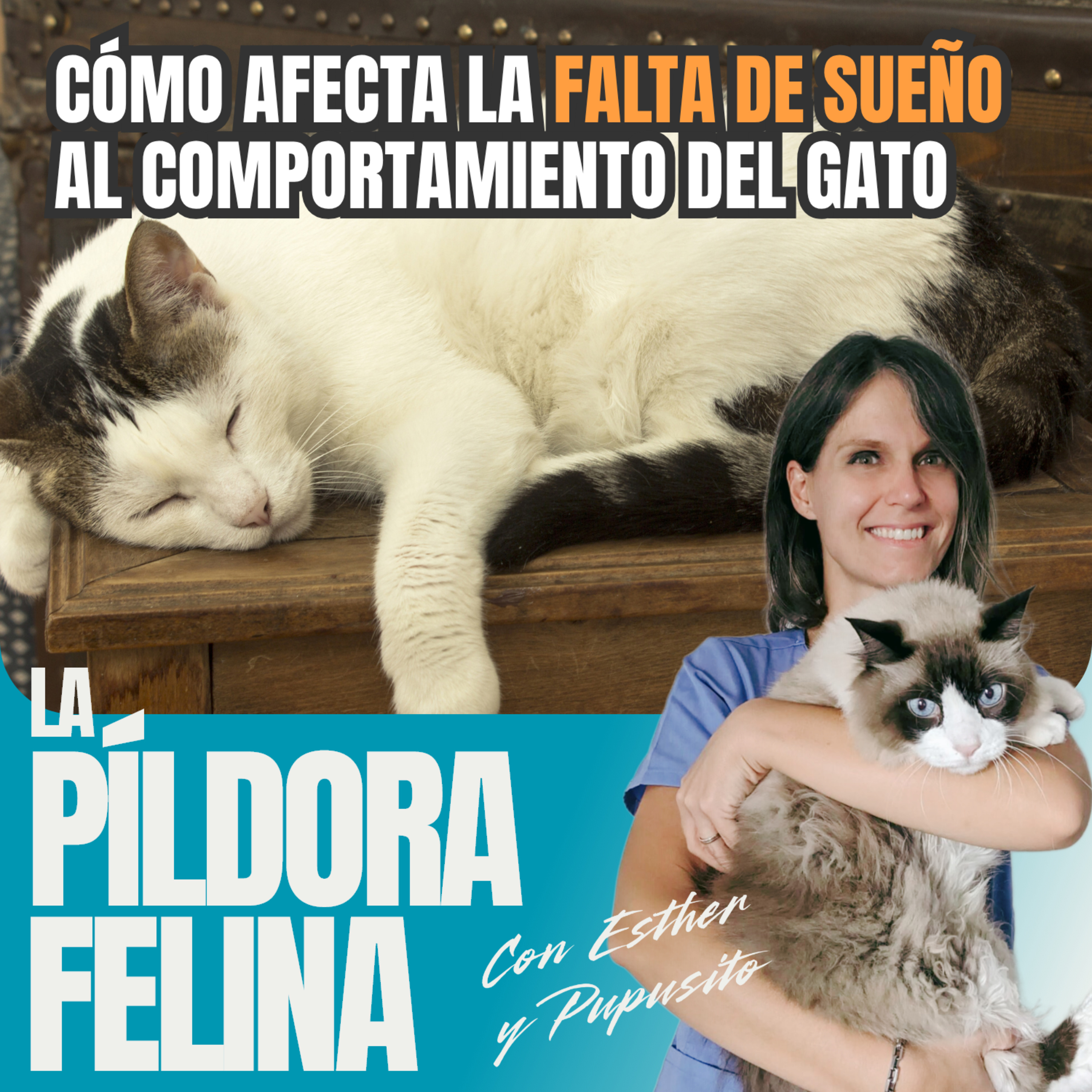 Imagen del episodio 769. Cómo afecta la FALTA DE SUEÑO al comportamiento del gato