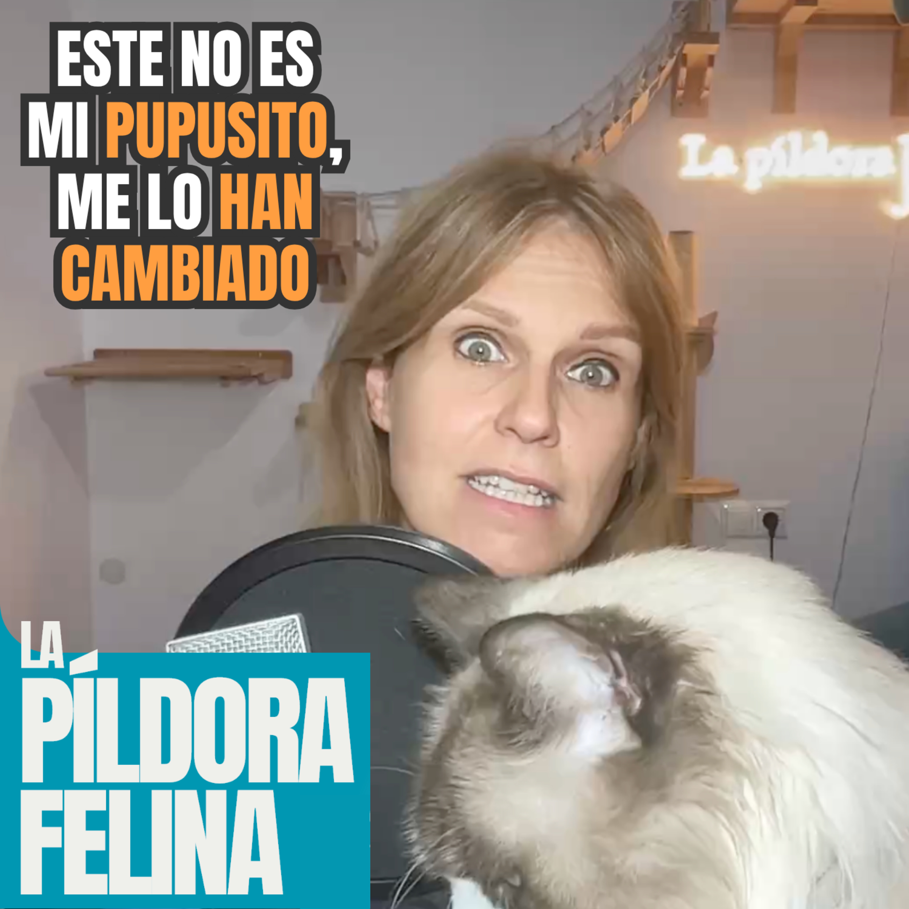 Imagen del episodio 770. Este no es mi PUPUSITO, me lo HAN CAMBIADO