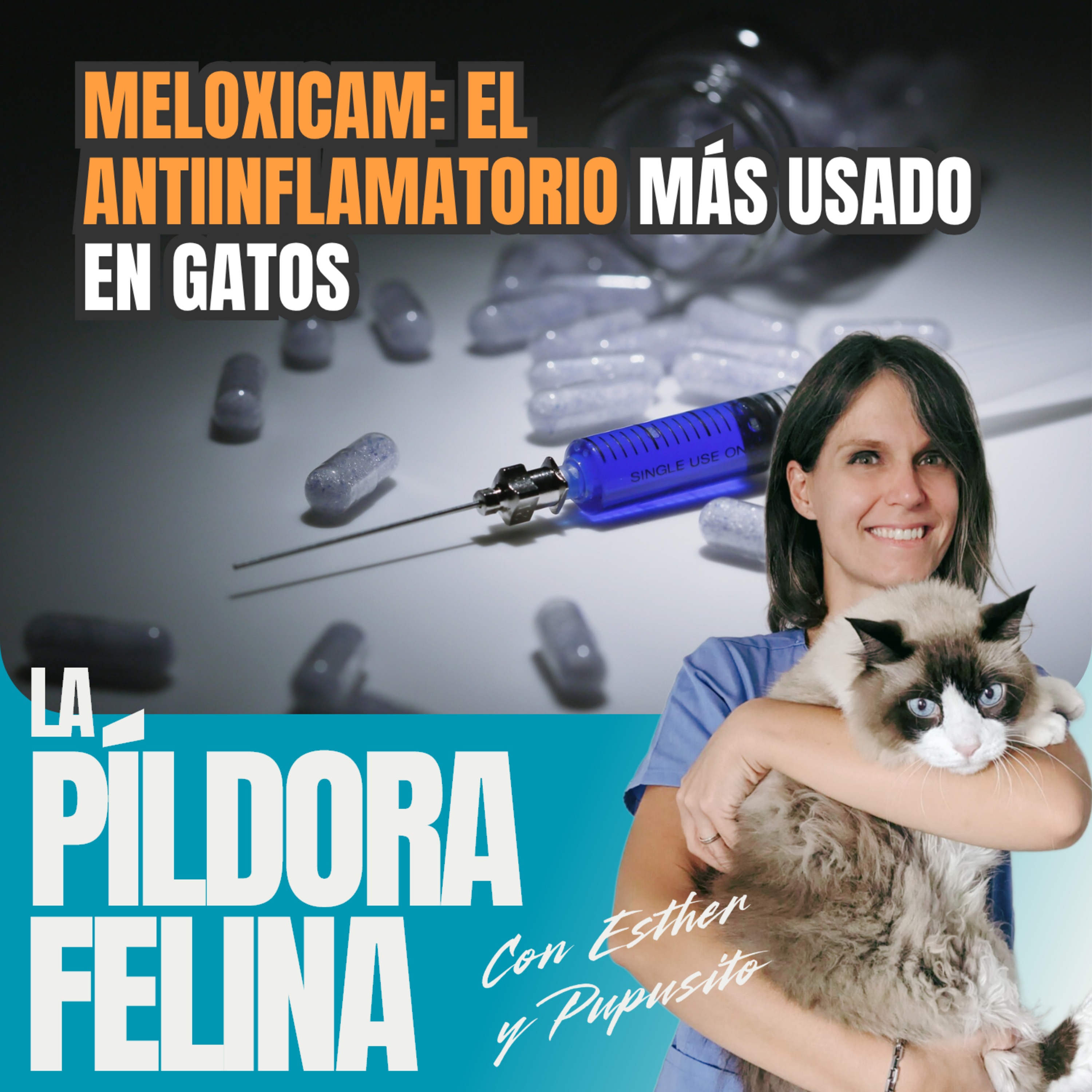 Imagen del episodio 772. MELOXICAM: El ANTIINFLAMATORIO más usado en gatos (cuándo AYUDA y cuándo COMPLICA las cosas)