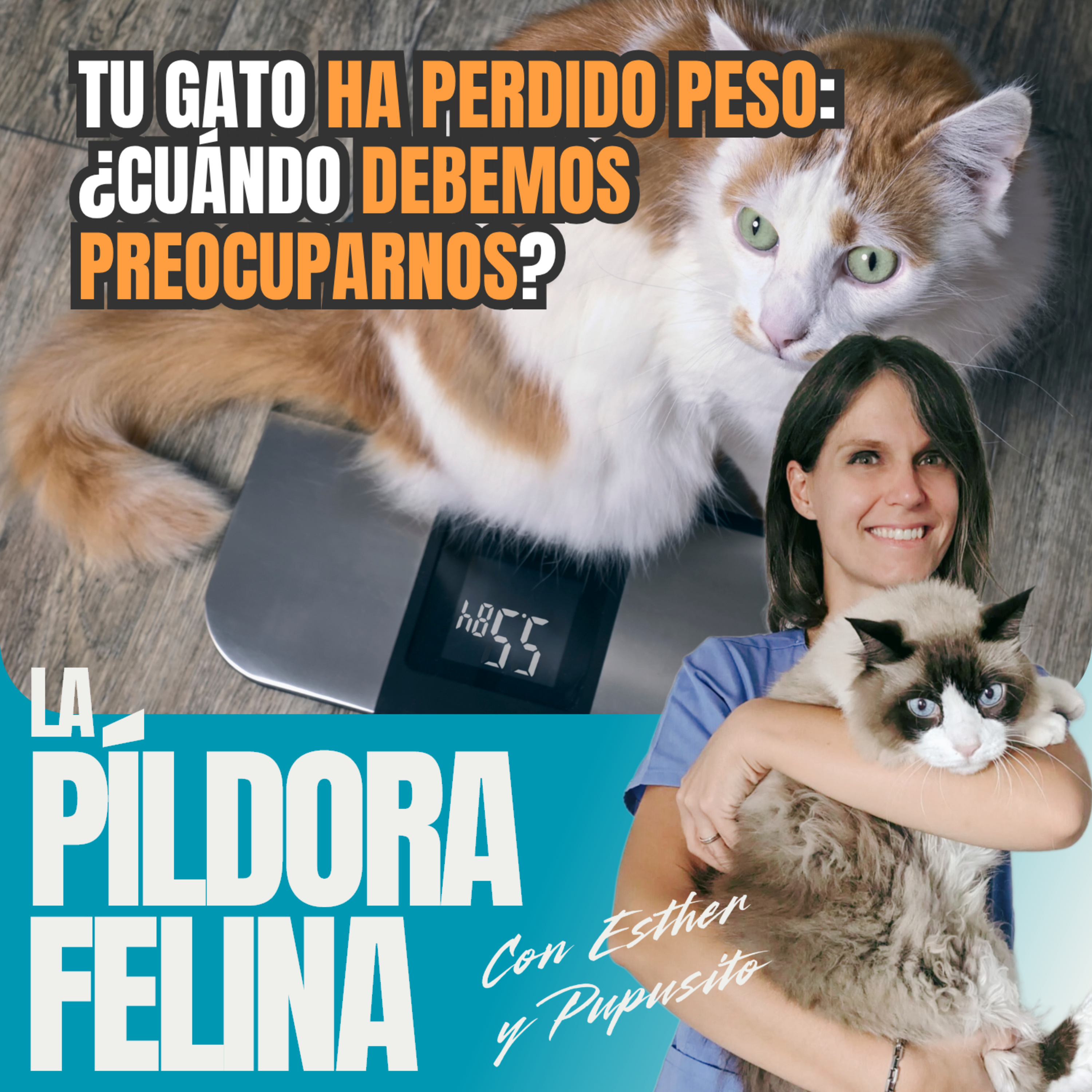 Imagen del episodio 773. Tu gato HA PERDIDO PESO: ¿cuándo debemos PREOCUPARNOS?
