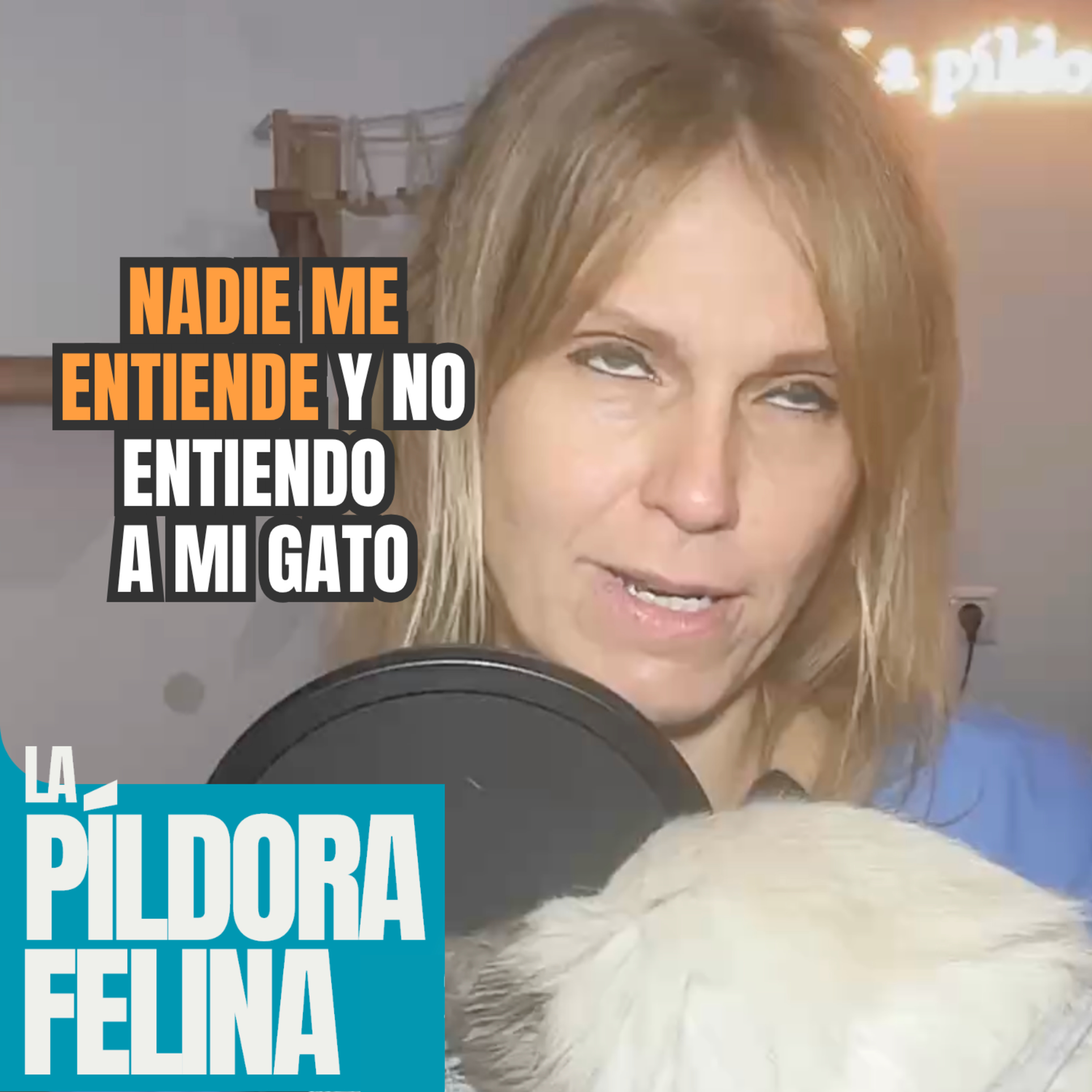 Imagen del episodio 779. NADIE ME ENTIENDE y no entiendo a mi gato