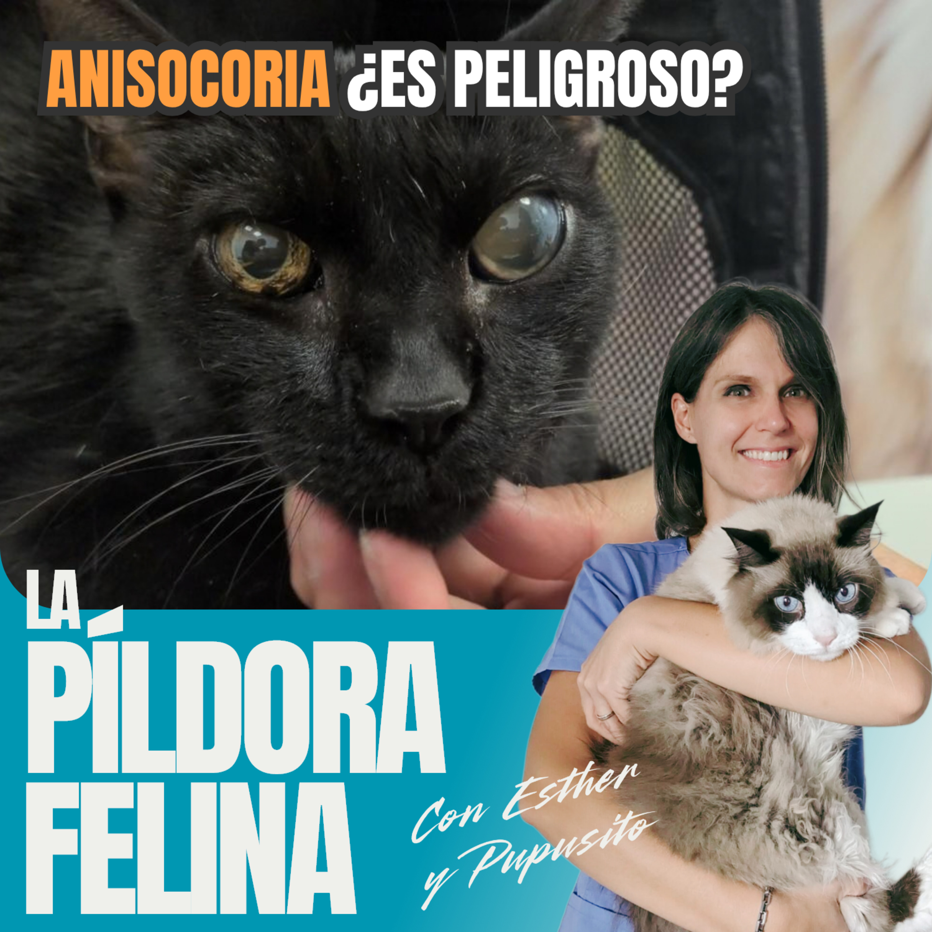 Imagen del episodio 781. ANISOCORIA ¿es peligroso?