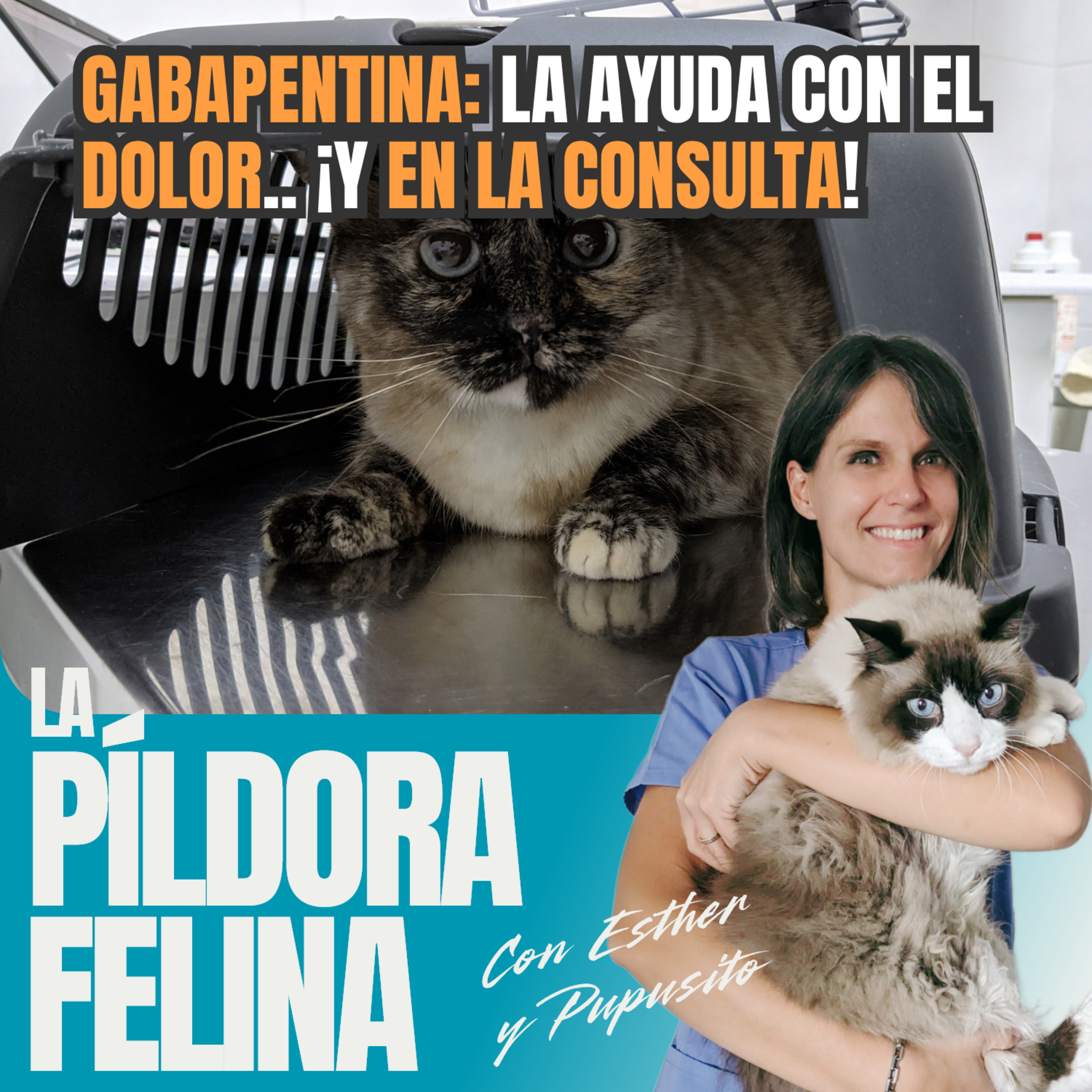 Imagen del episodio 782. GABAPENTINA: la ayuda con el dolor.. ¡y en la consulta!