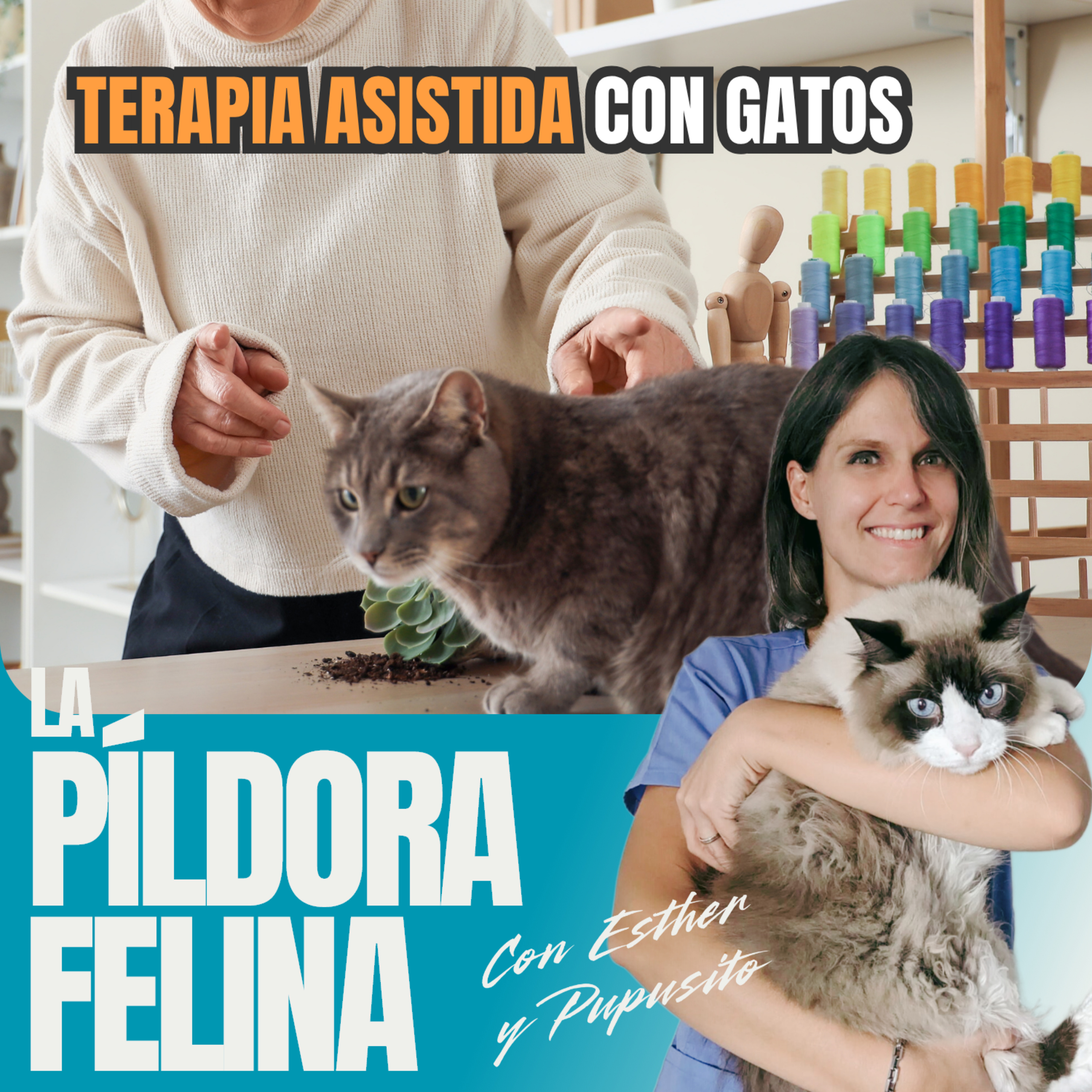 Imagen del episodio 785. TERAPIA ASISTIDA con GATOS