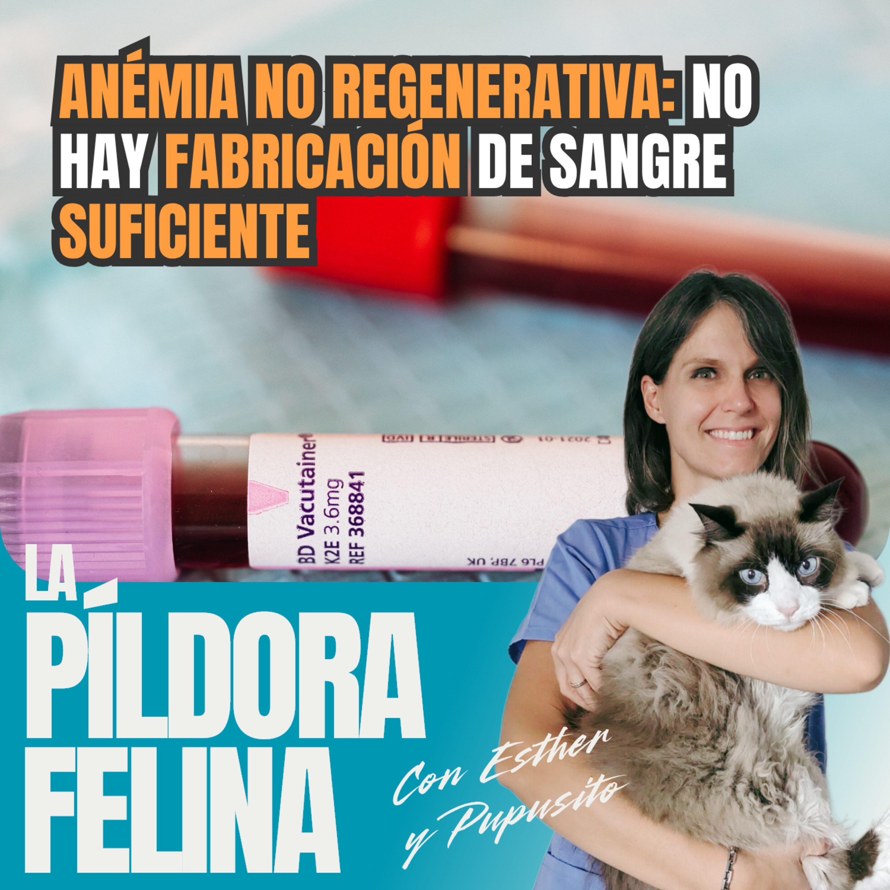 Imagen del episodio 786. ANÉMIA NO REGENERATIVA: no hay FABRICACIÓN de sangre suficiente