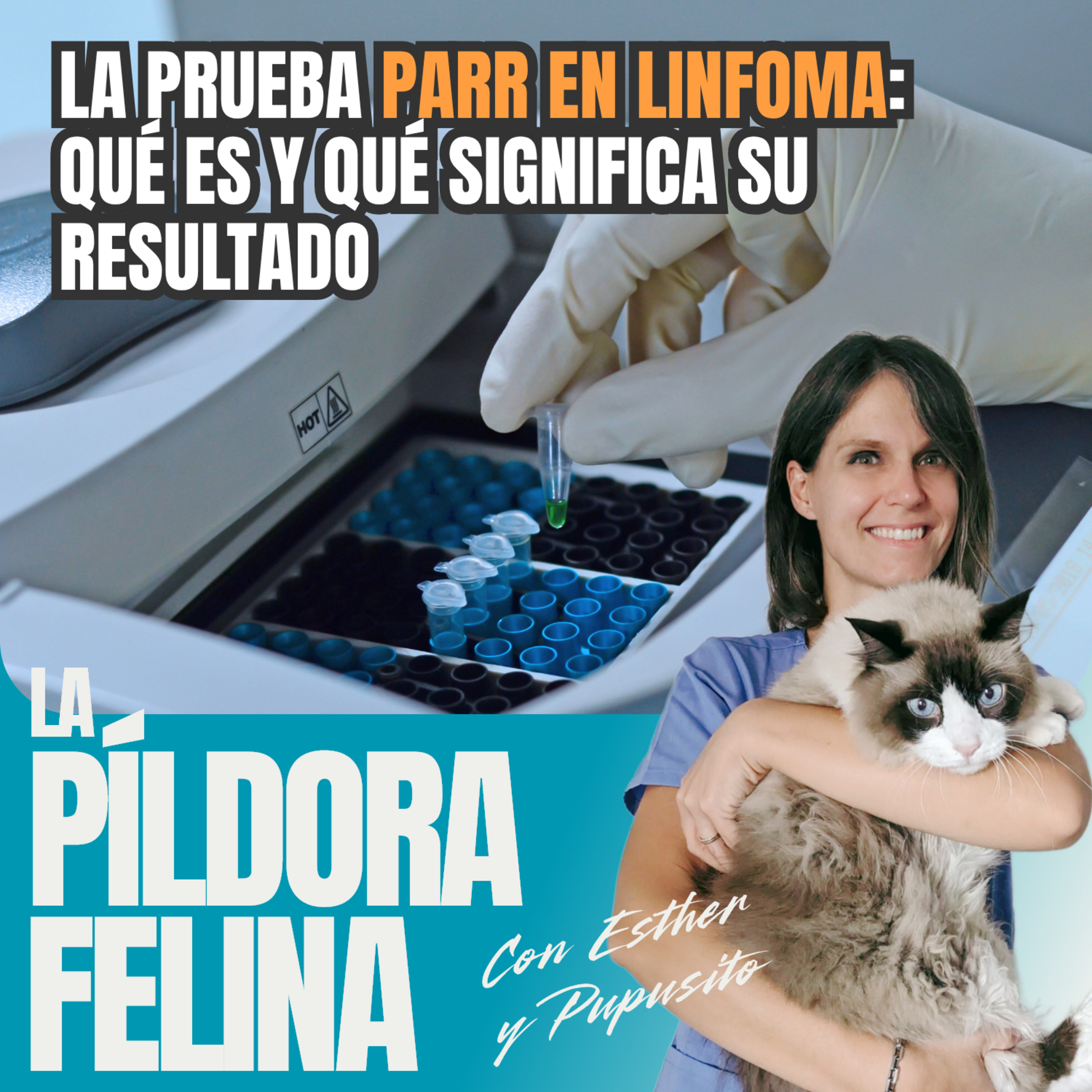 Imagen del episodio 787. La prueba PARR en LINFOMA: qué es y qué significa su resultado