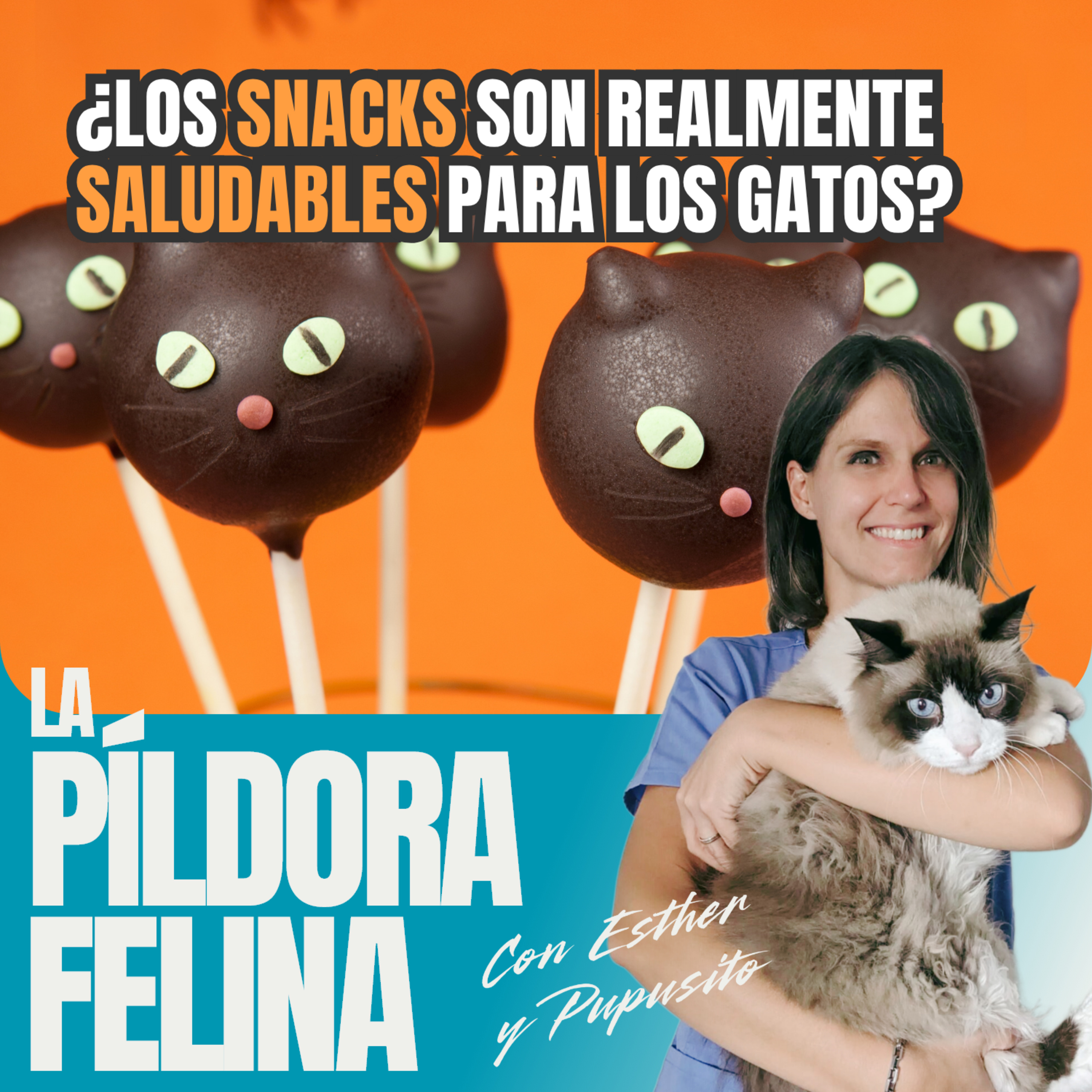 Imagen del episodio 788. ¿Los SNACKS son realmente SALUDABLES para los gatos?