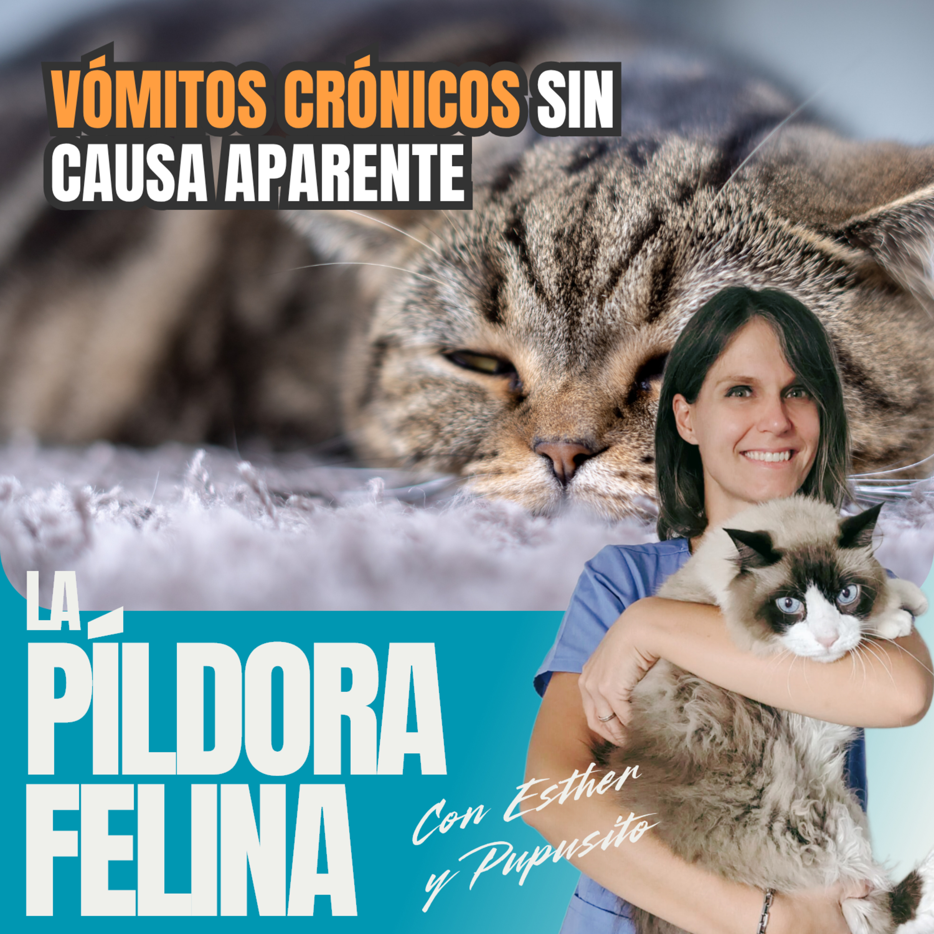 Imagen del episodio 791. VÓMITOS CRÓNICOS sin causa aparente