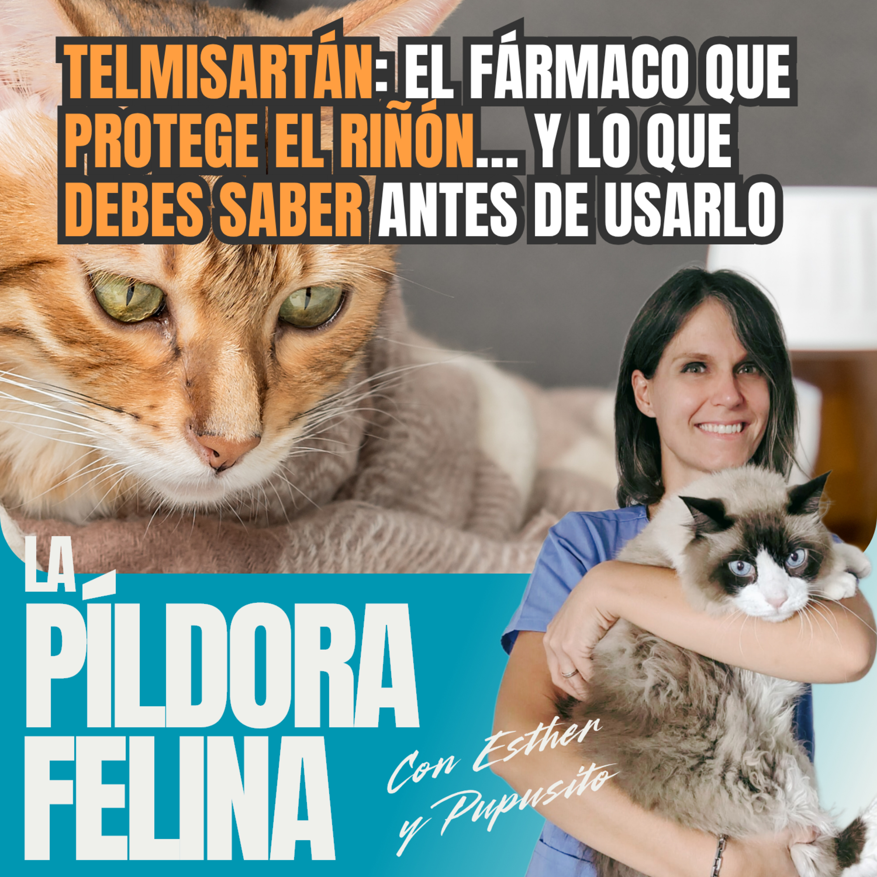 Imagen del episodio 792. TELMISARTÁN: El fármaco que PROTEGE EL RIÑÓN… y lo que DEBES SABER antes de usarlo