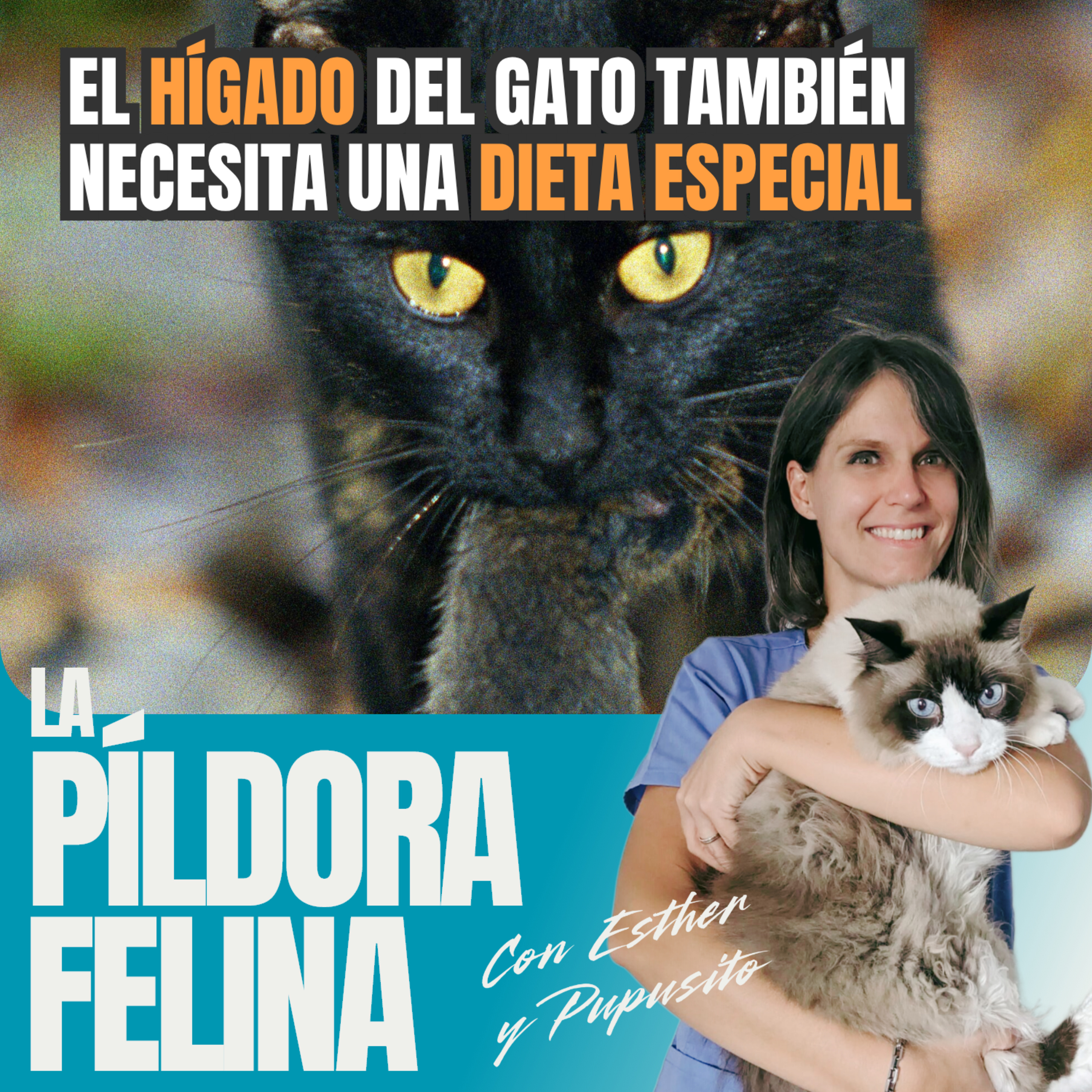 Imagen del episodio 793. El HÍGADO del gato también necesita una DIETA ESPECIAL