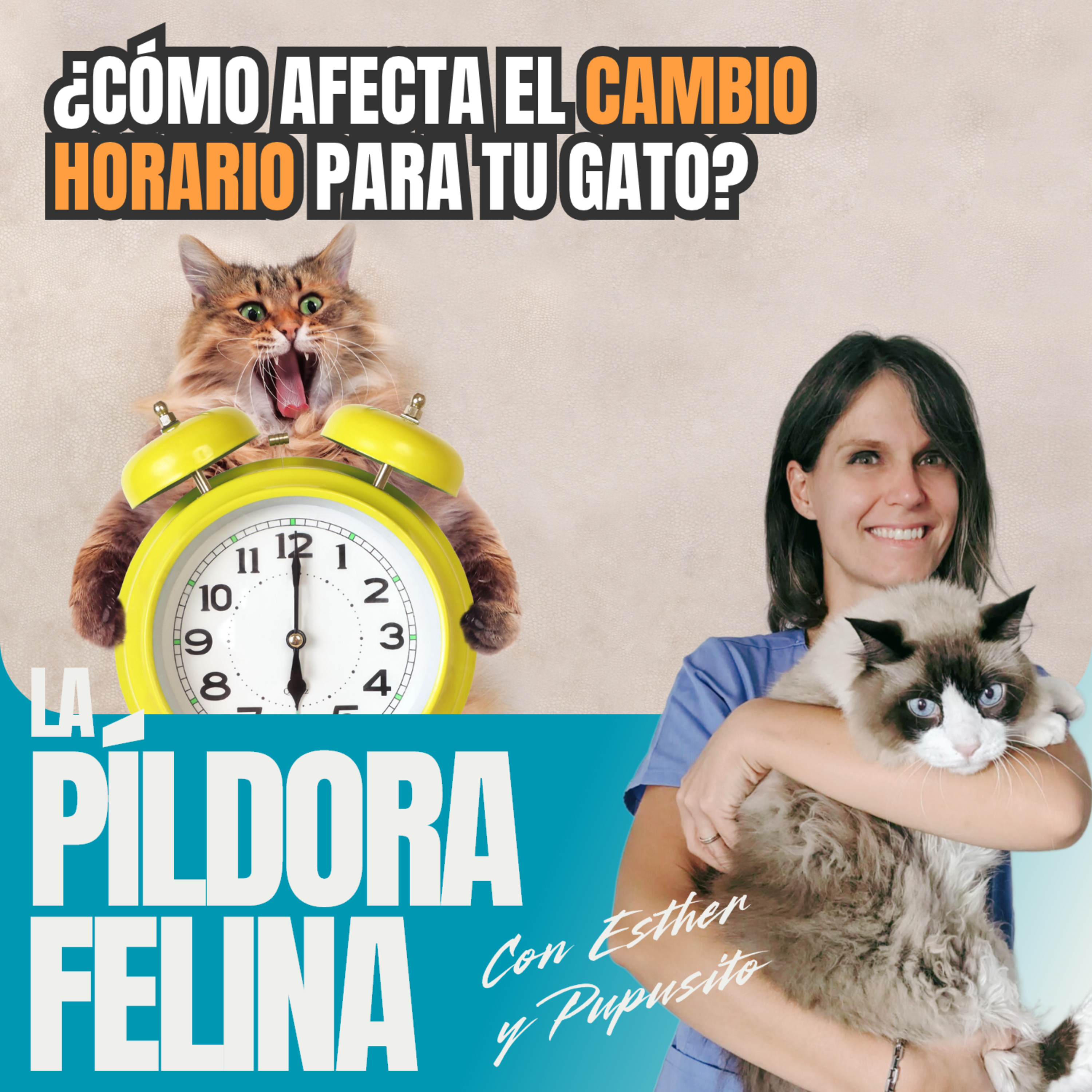 Imagen del episodio 795. ¿Cómo afecta el CAMBIO HORARIO para tu gato?