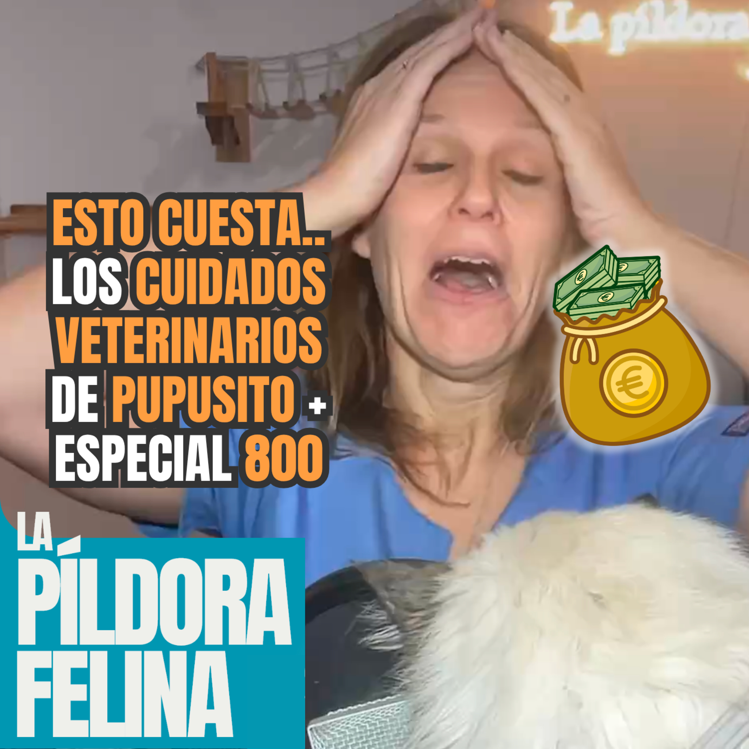 Imagen del episodio 800. Esto cuesta.. los CUIDADOS VETERINARIOS de PUPUSITO + ESPECIAL 800