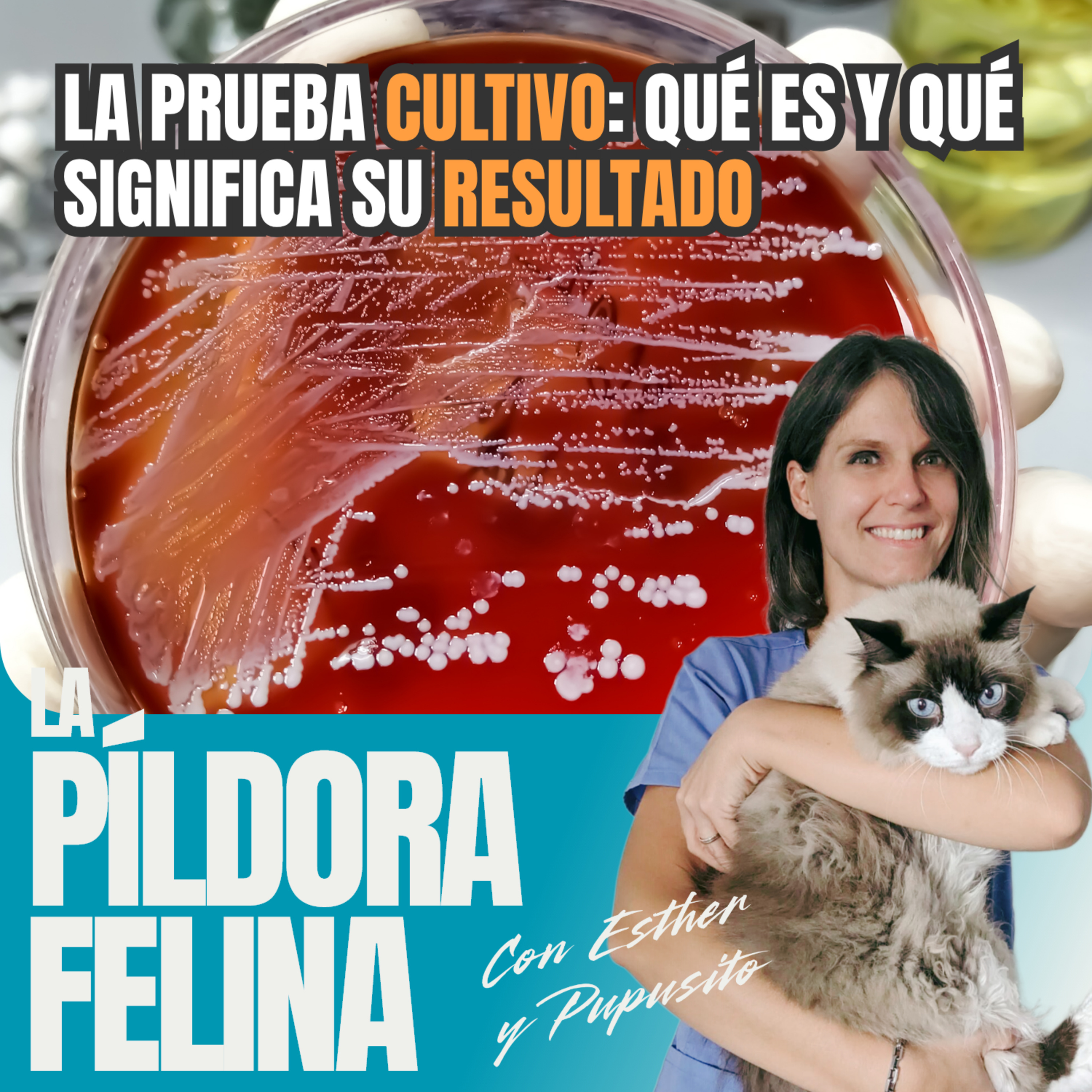 Imagen del episodio 797. La prueba CULTIVO: qué es y qué significa su resultado