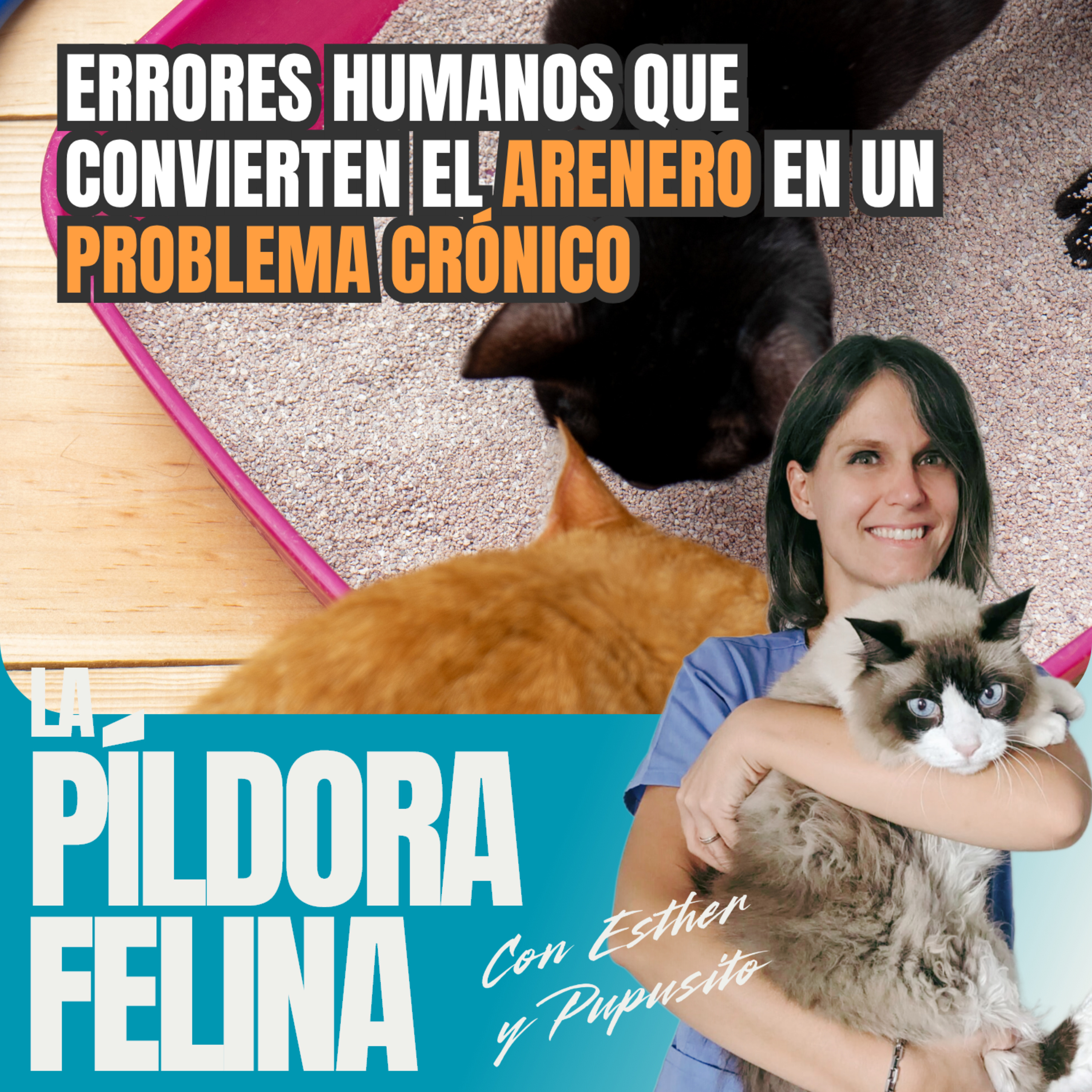 Imagen del episodio 799. Errores humanos que convierten el ARENERO en un PROBLEMA CRÓNICO