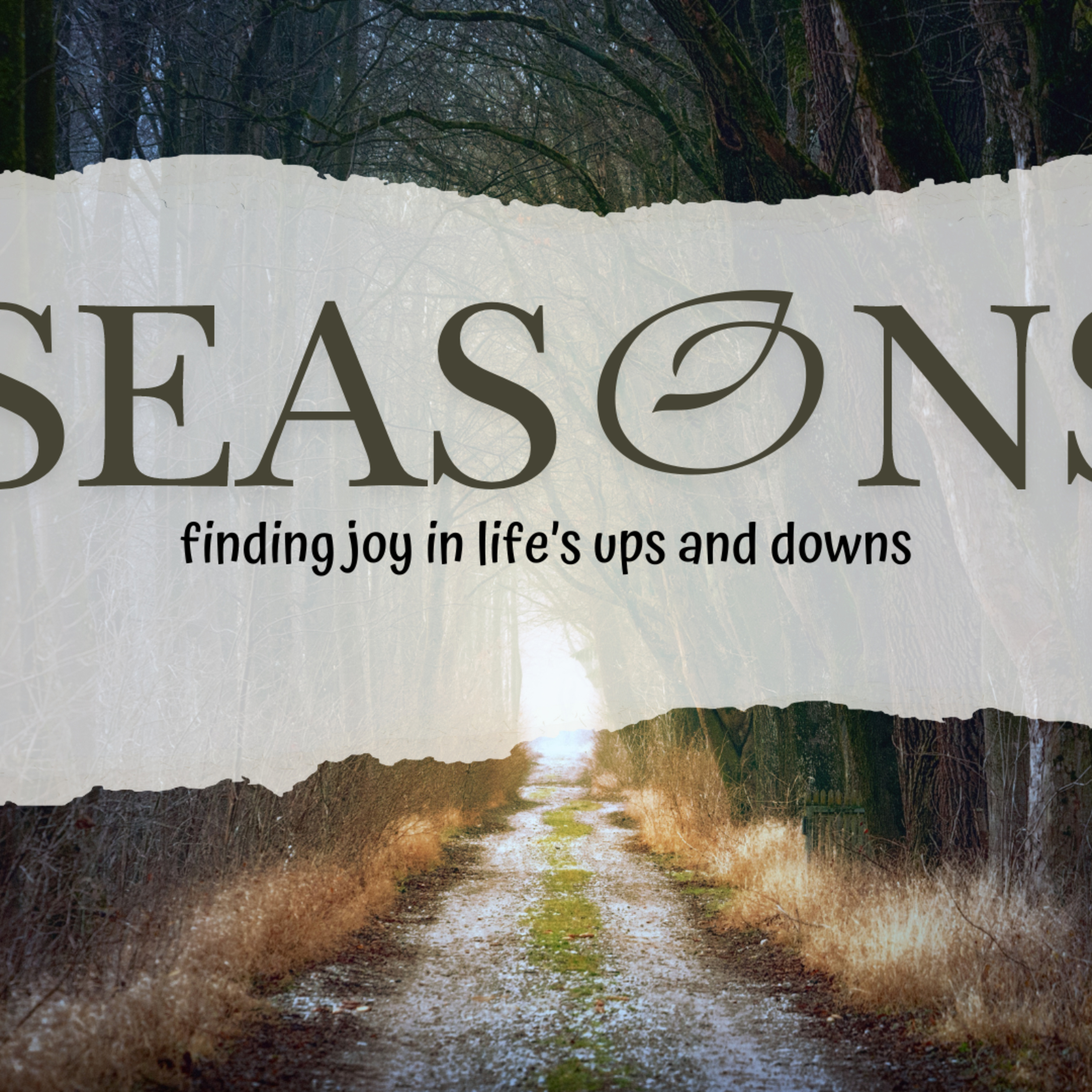 Seasons - Finding Joy in Life's Ups and Downs - Part 2 episode artwork