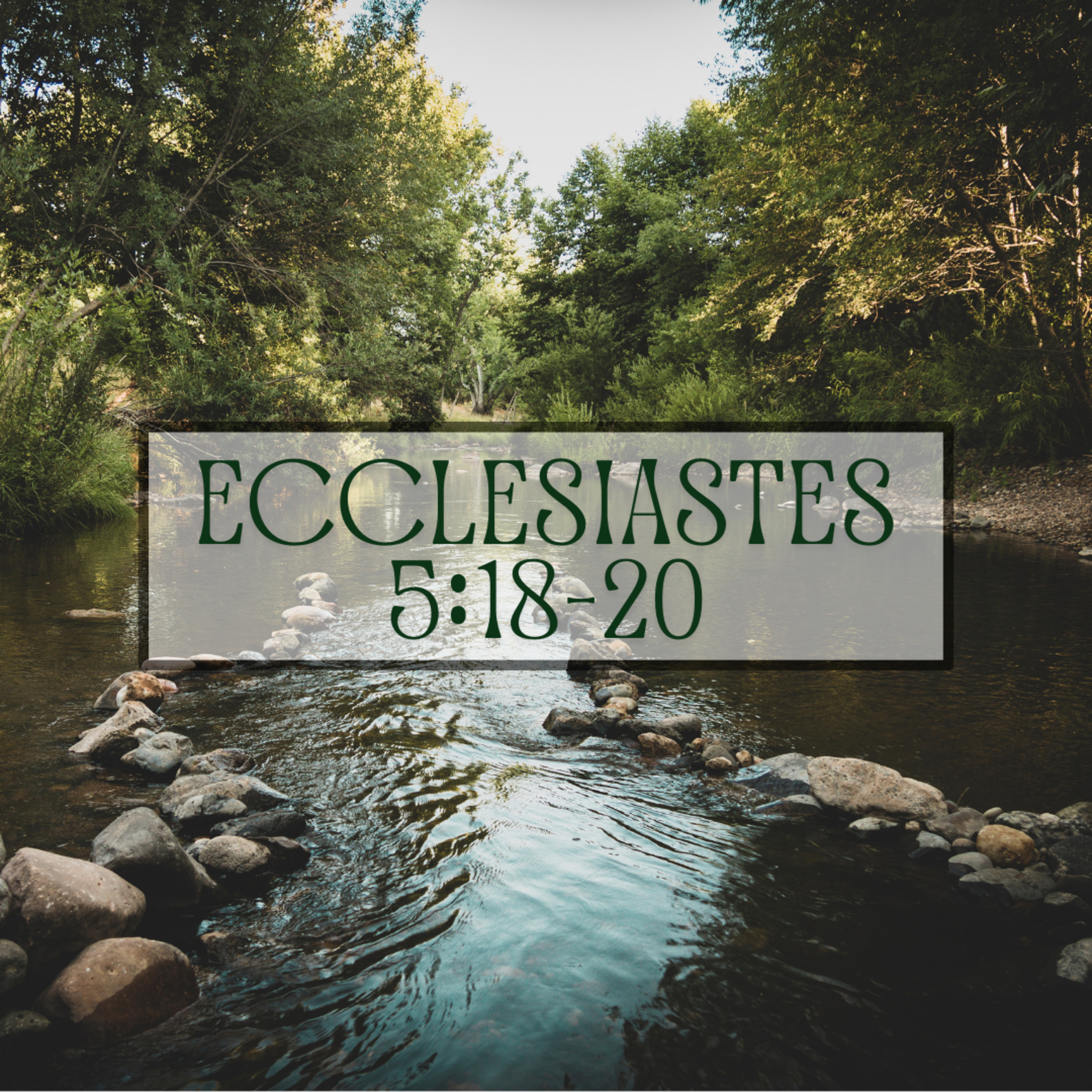 Ecclesiastes 5:18-20: Joel Reynolds episode artwork